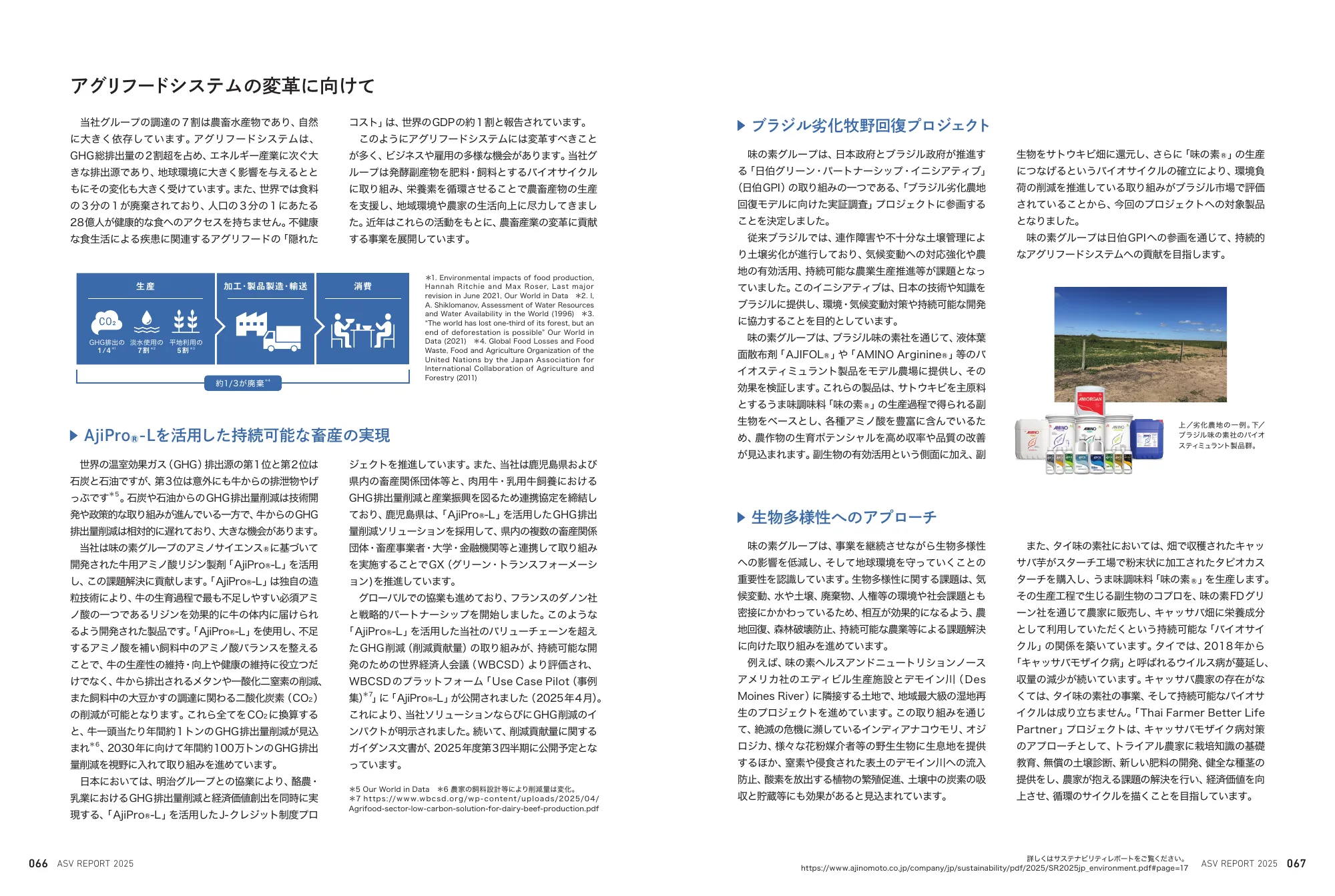 味の素グループ ASVレポート 2025 統合報告書