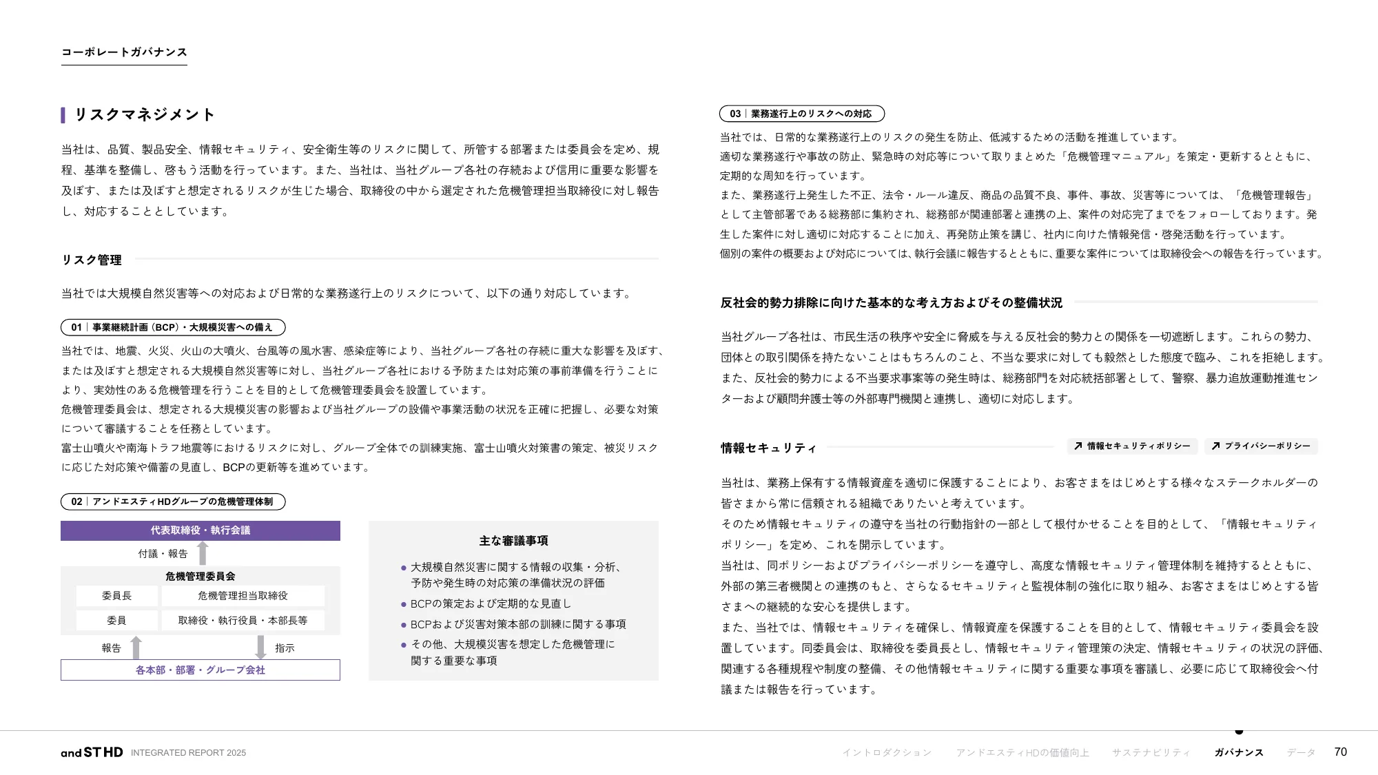 統合報告書 2025｜株式会社アンドエスティHD