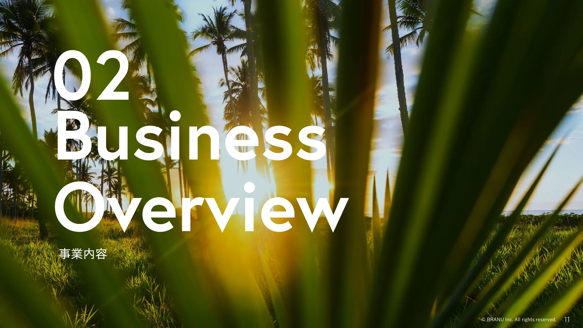 事業計画及び成長可能性に関する説明資料｜BRANU株式会社