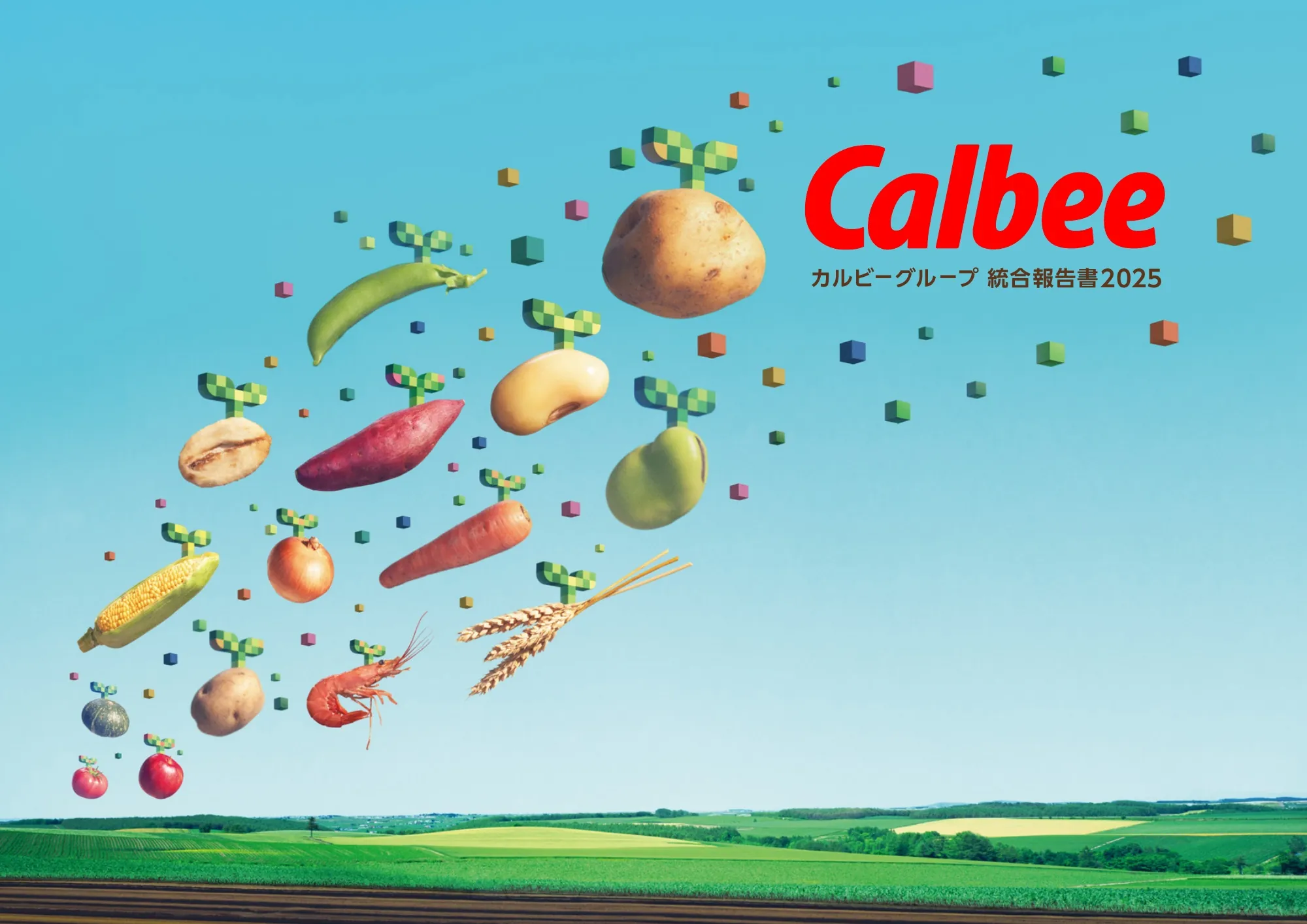 カルビーグループ 統合報告書 2025（カルビーレポート2025）