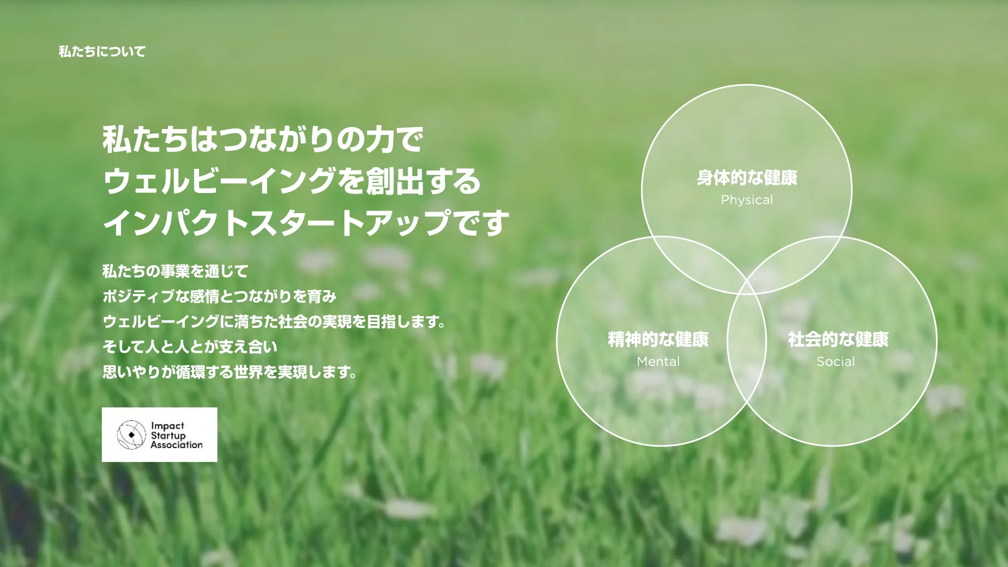 Company Deck｜株式会社チッピー