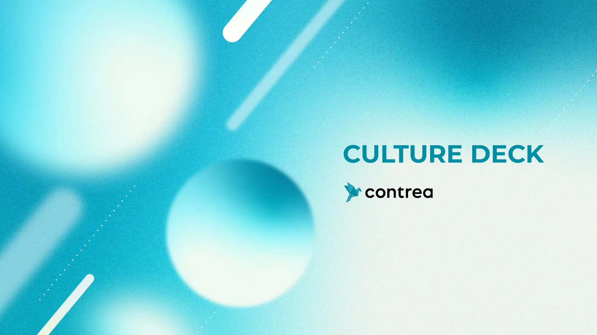 コントレア 採用資料