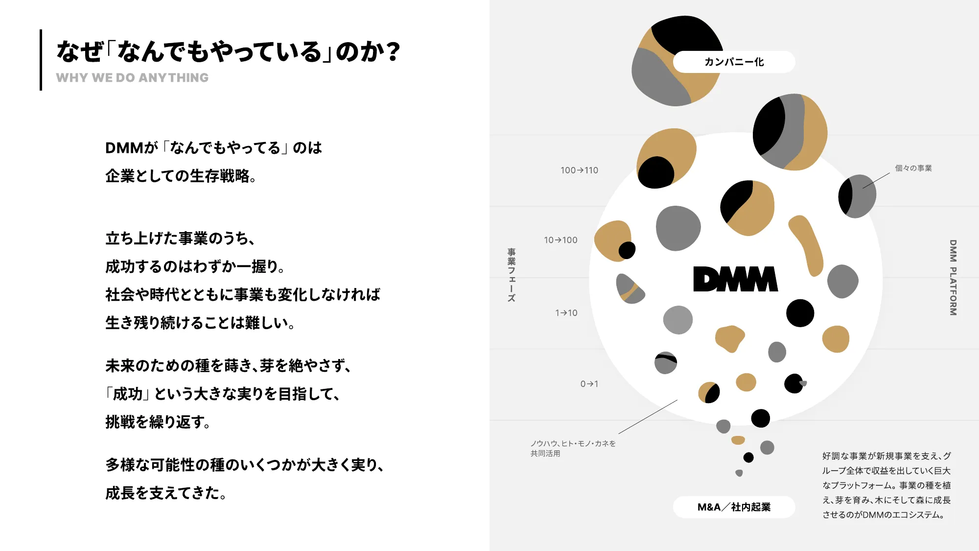 DMM 会社紹介資料