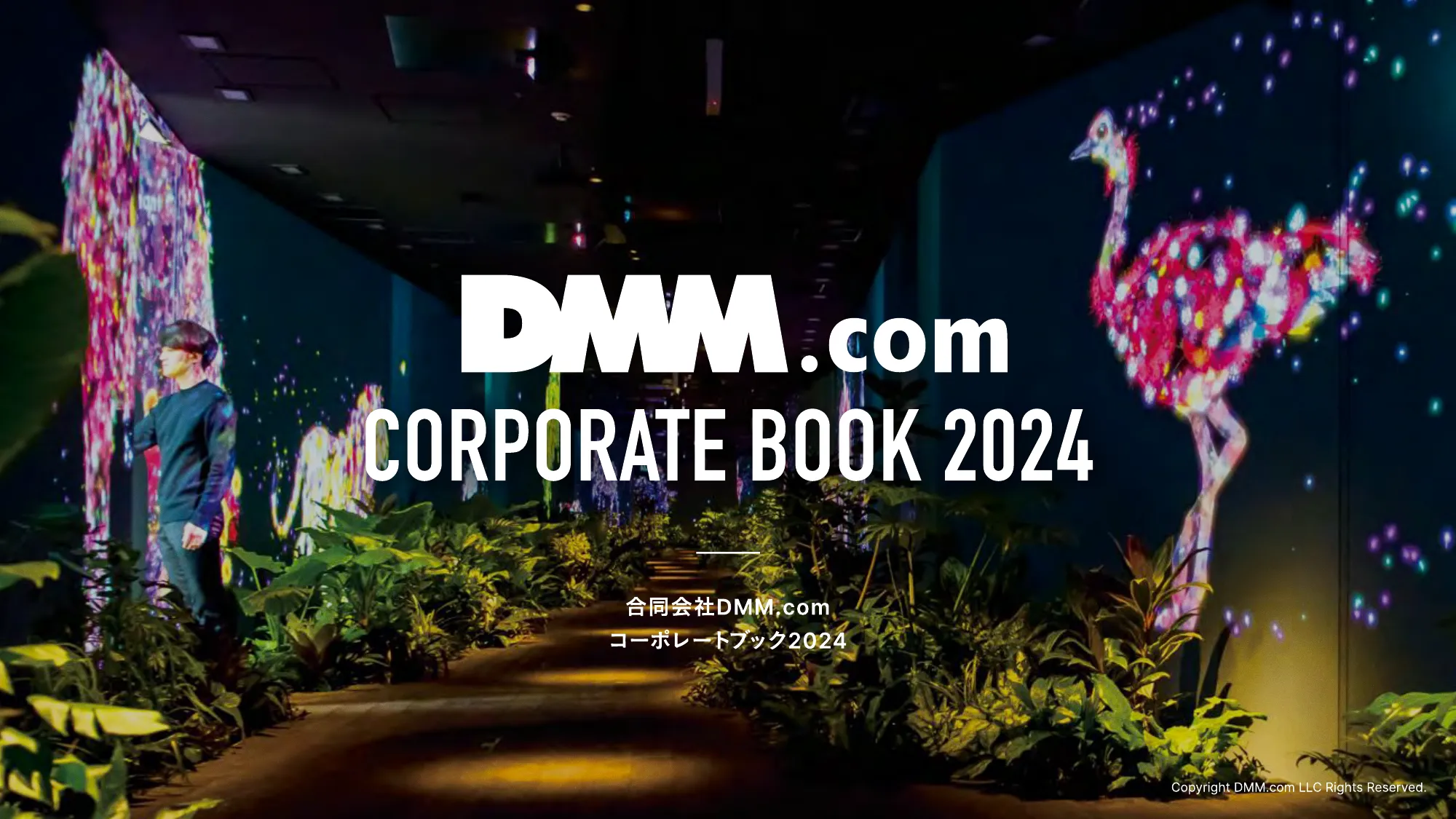 DMM コーポレートブック2024
