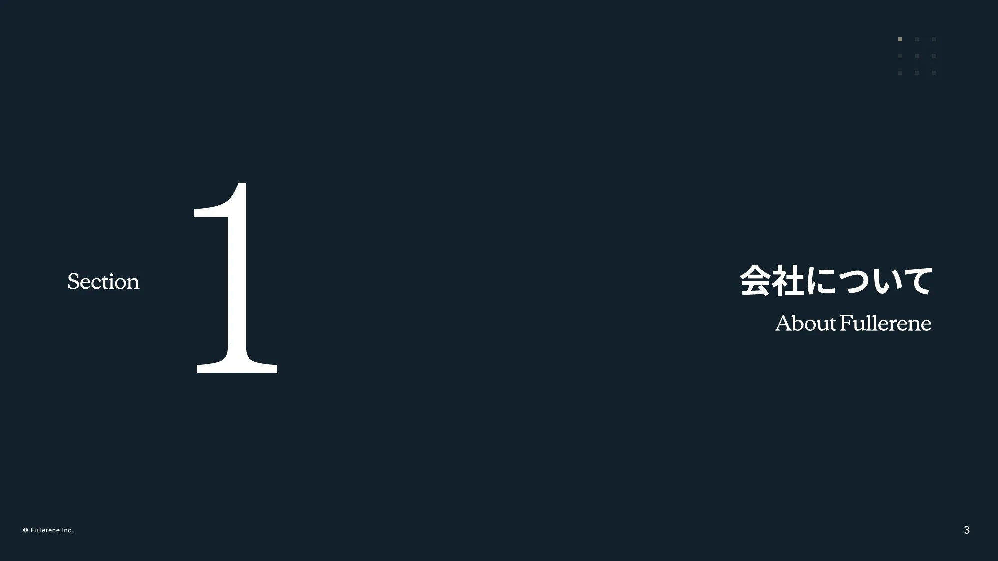 Fullerene公司介绍资料