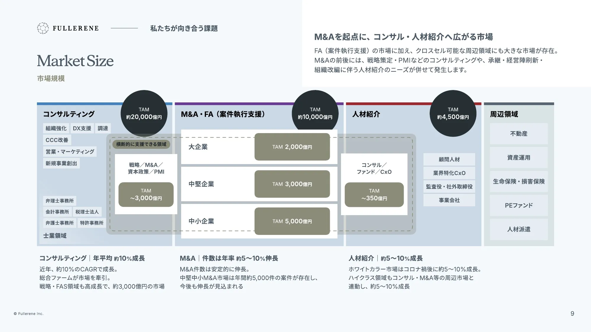 Fullerene公司介绍资料
