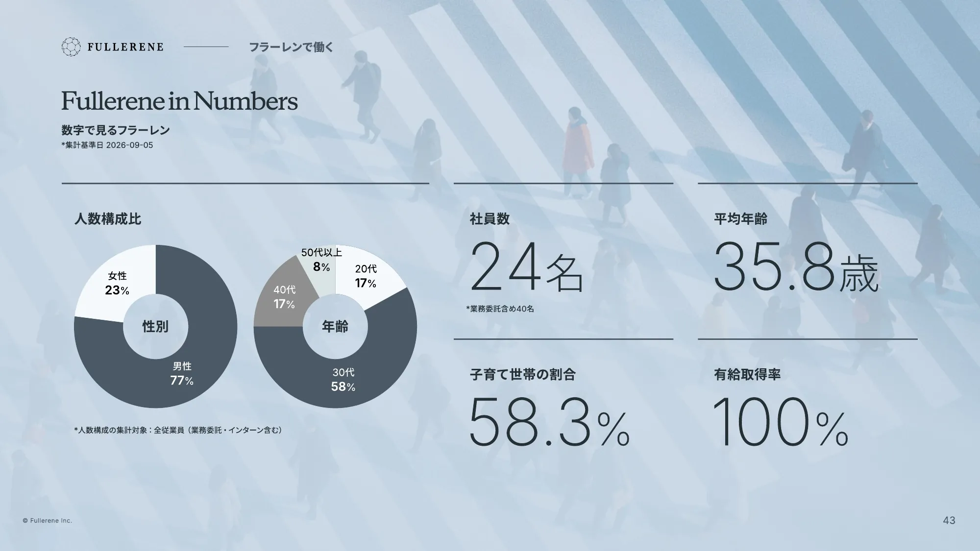 Fullerene公司介绍资料