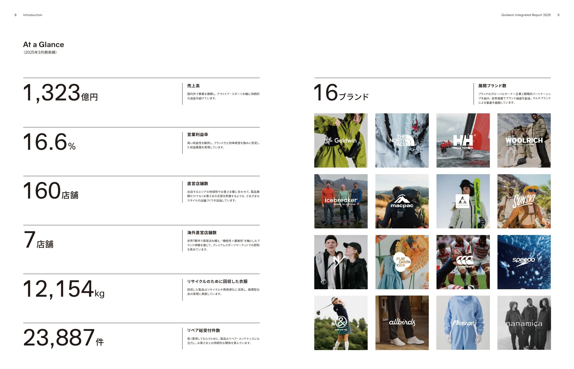 Goldwin Integrated Report 2025