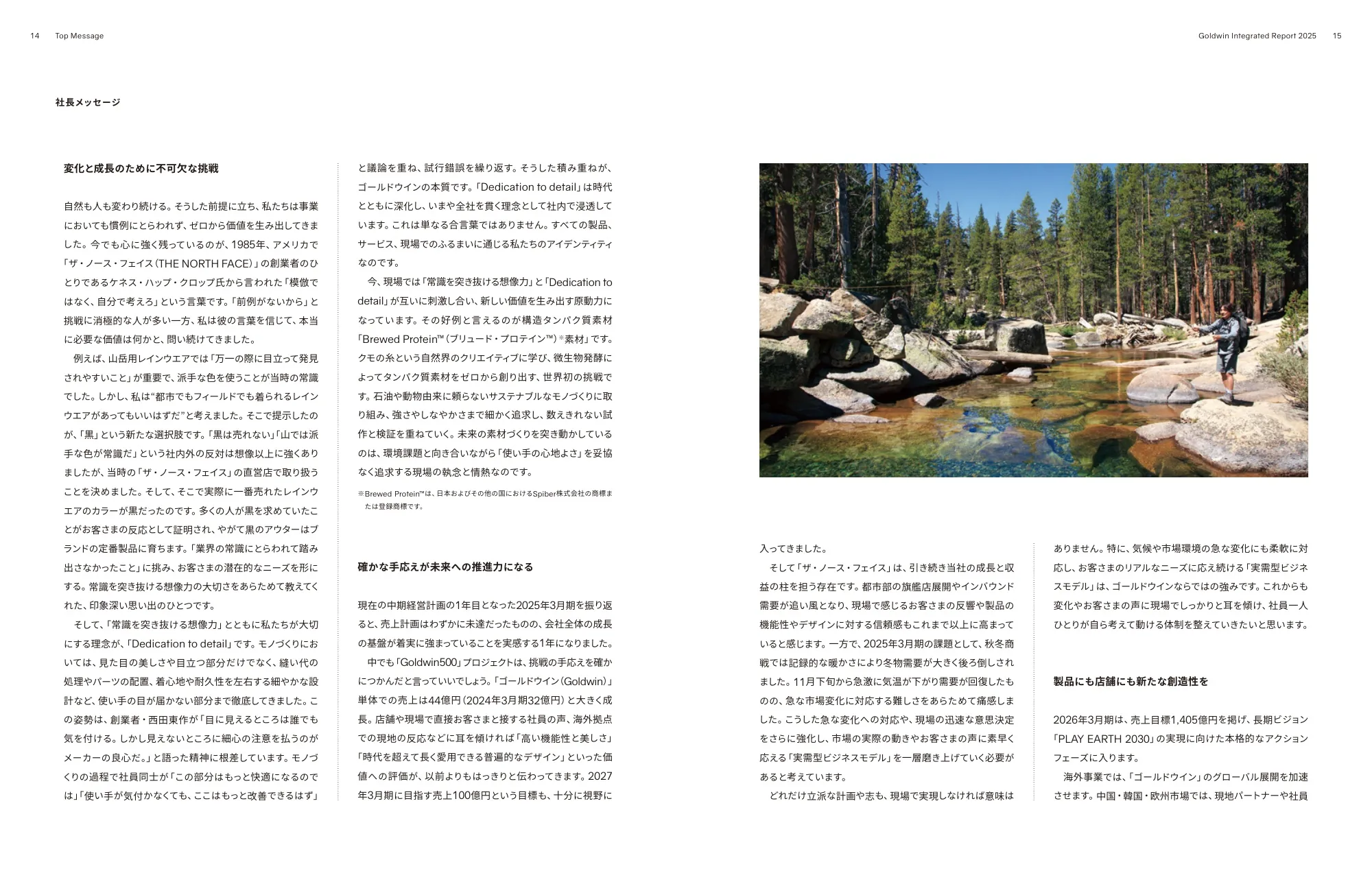 Goldwin Integrated Report 2025