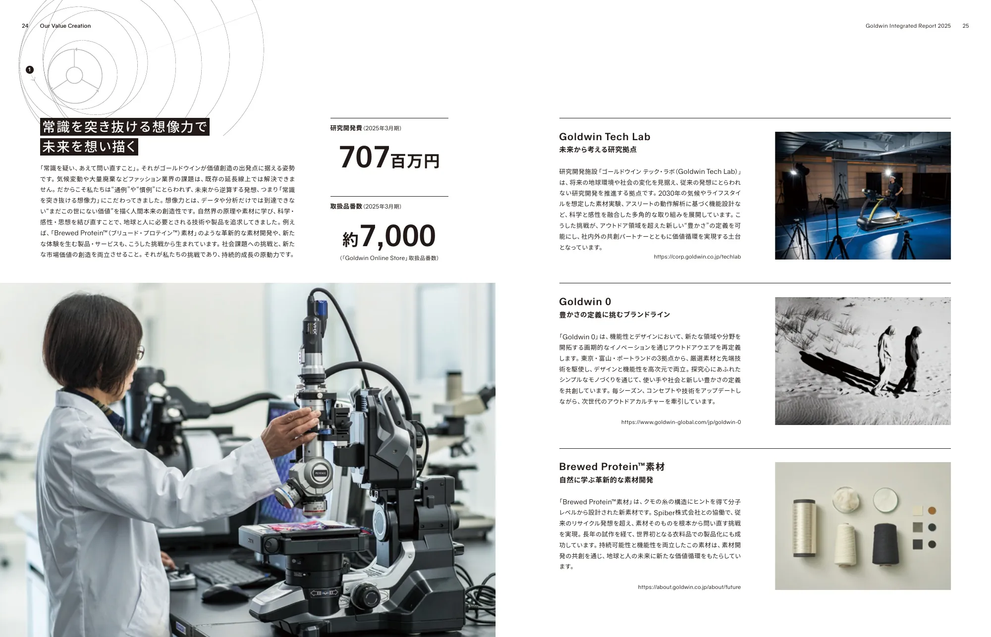 Goldwin Integrated Report 2025