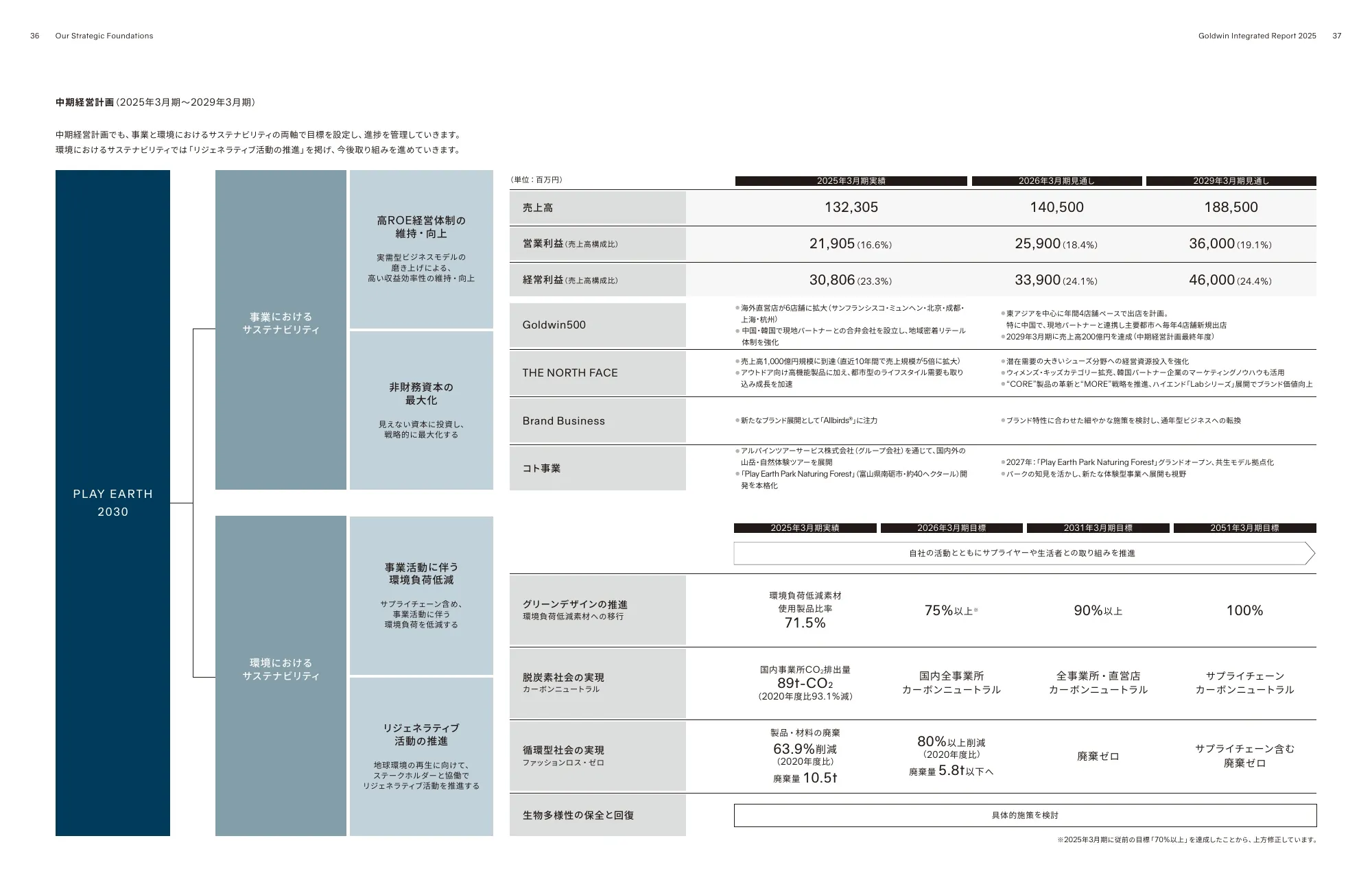 Goldwin Integrated Report 2025