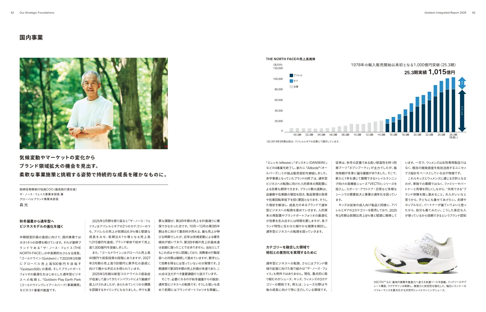 Goldwin Integrated Report 2025