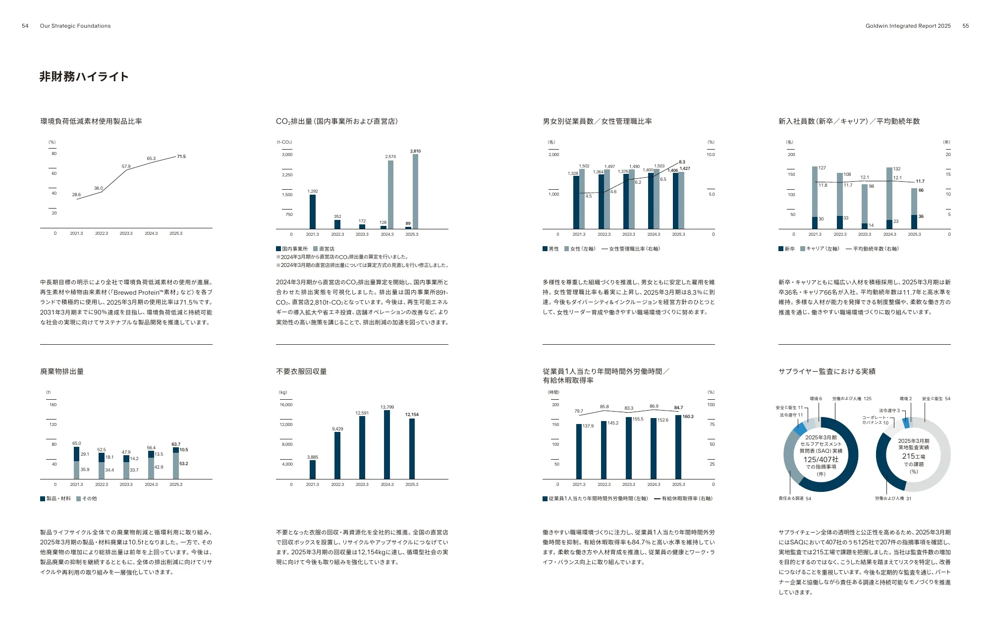 Goldwin Integrated Report 2025