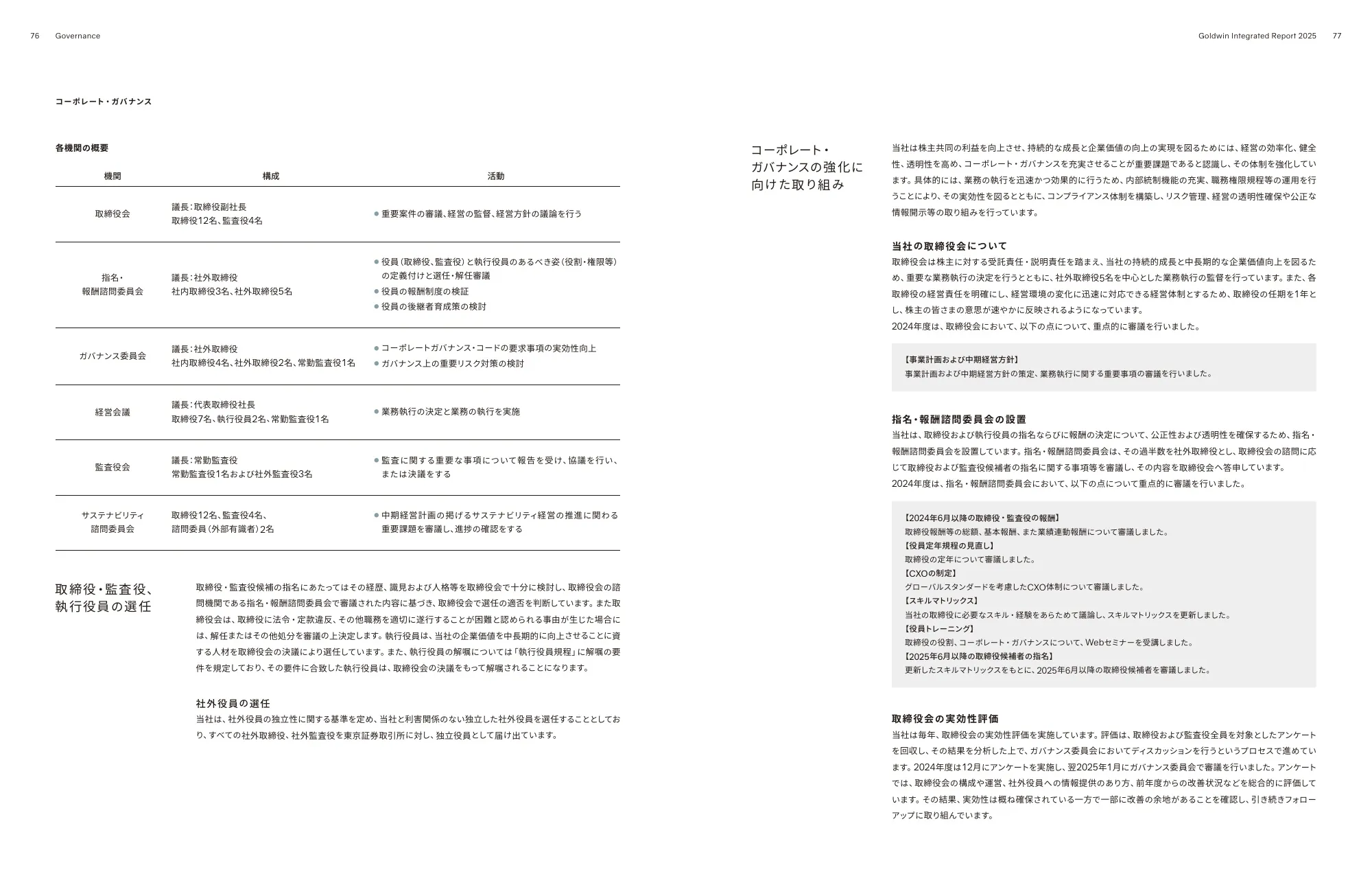 Goldwin Integrated Report 2025