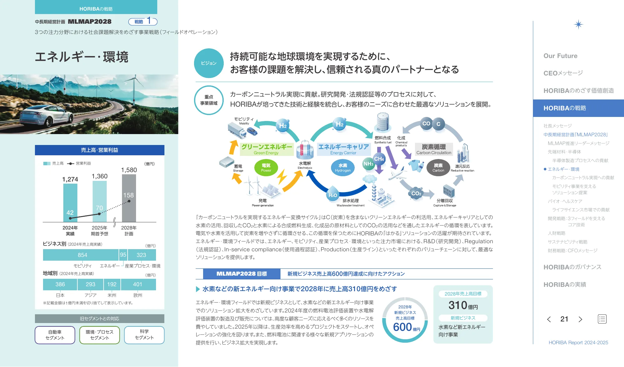 HORIBA Report 2024-2025