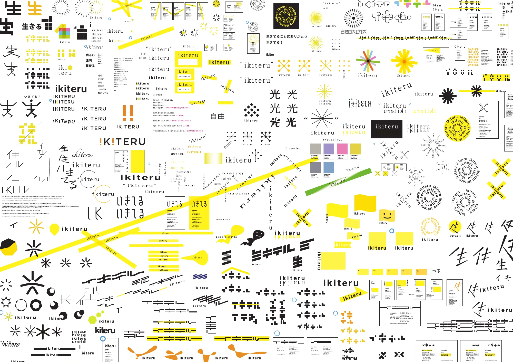 ikiteru ブランドブック
