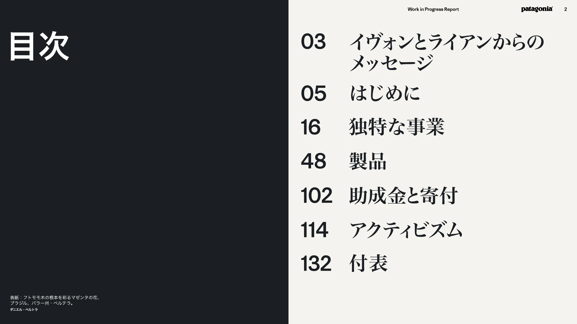 patagonia progress report 2025