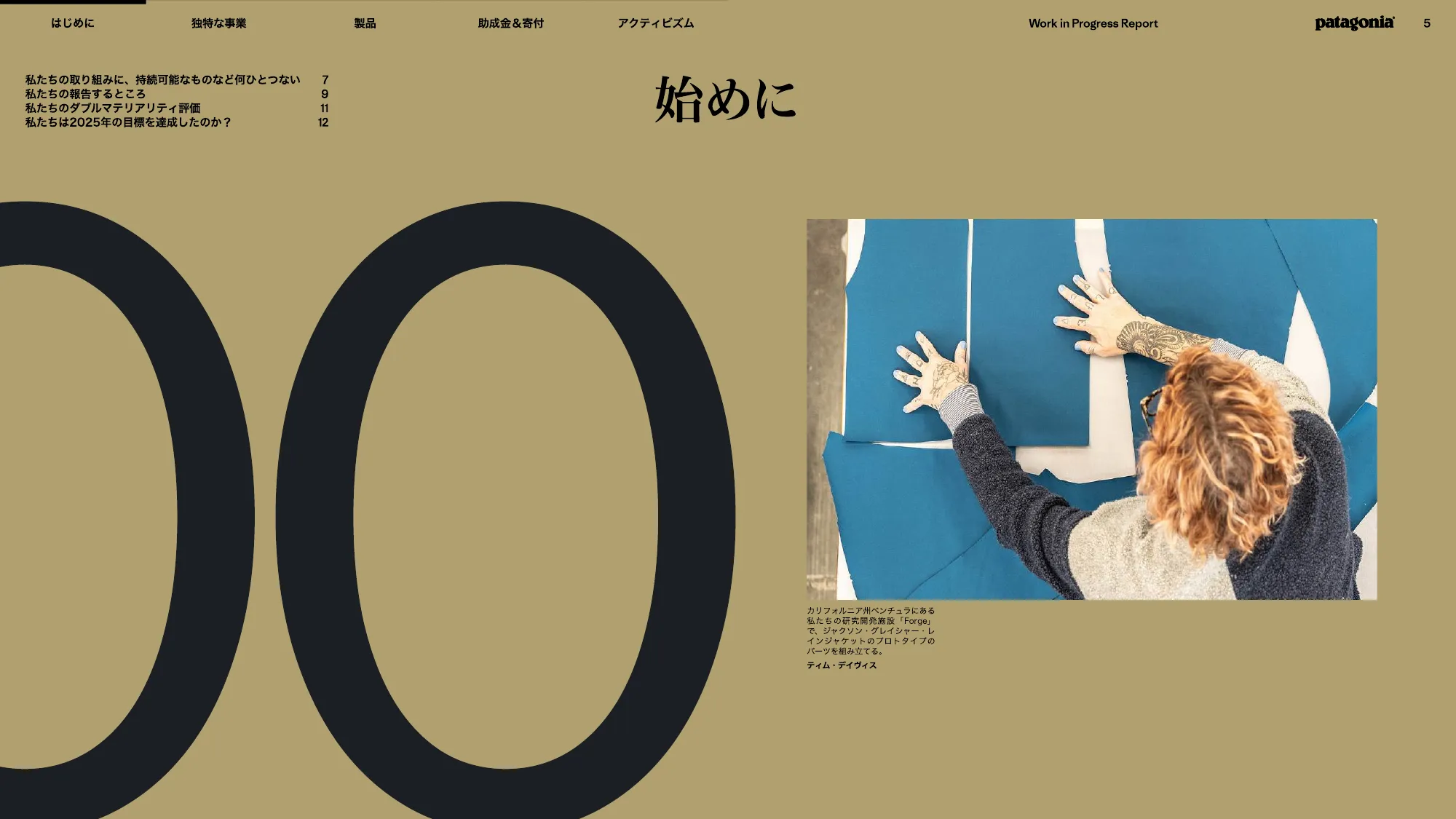 patagonia progress report 2025