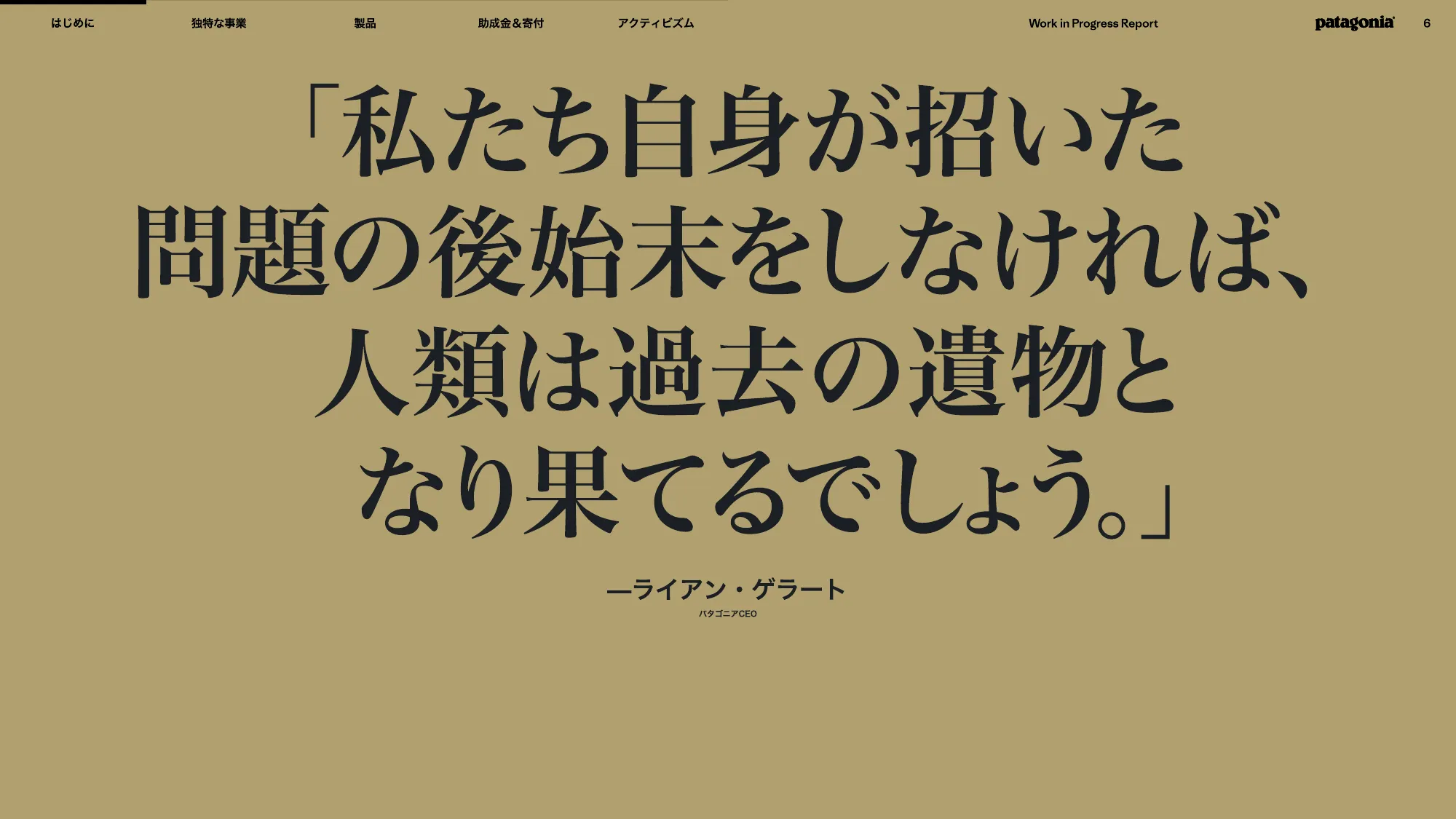 patagonia progress report 2025