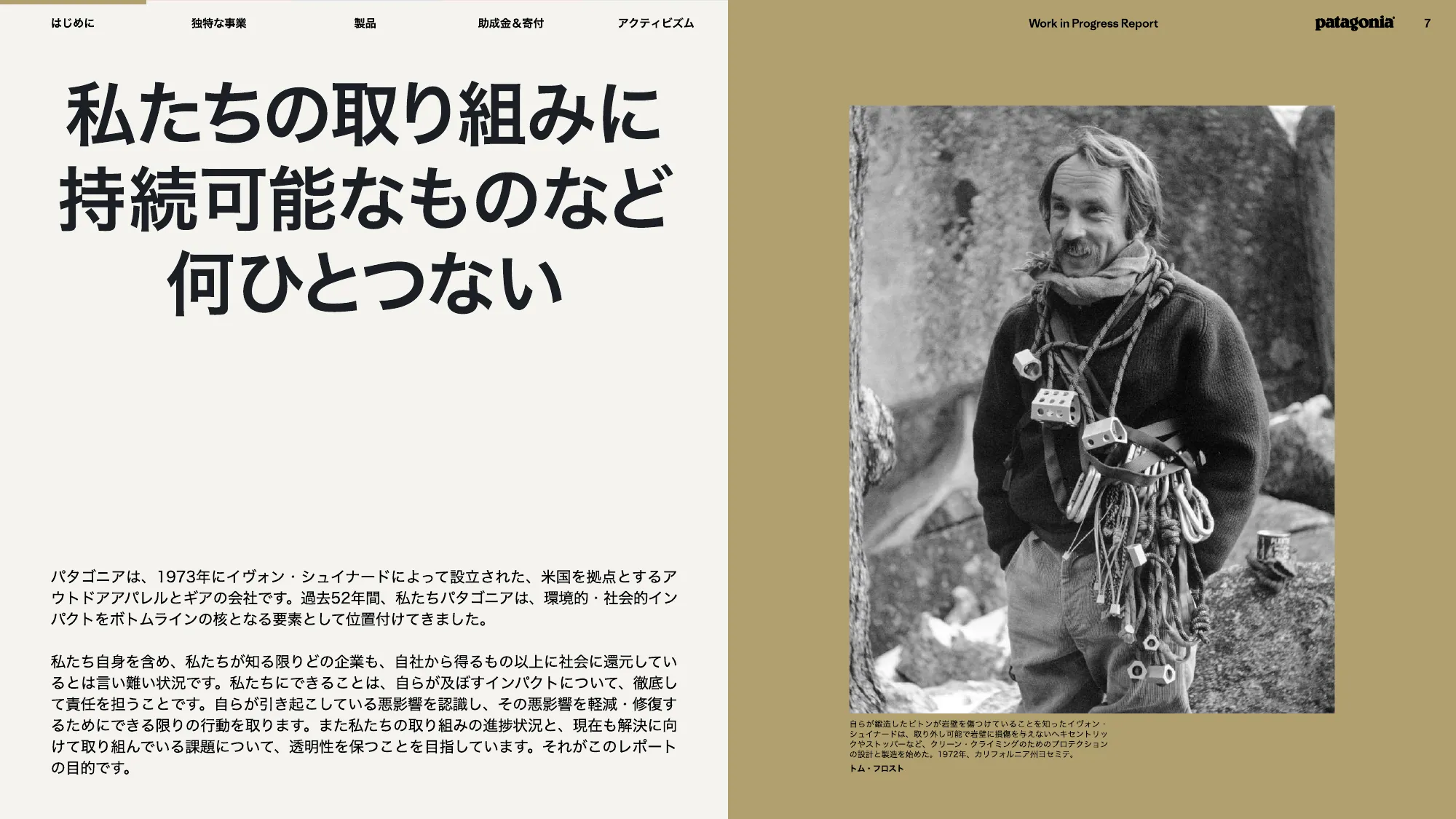 patagonia progress report 2025