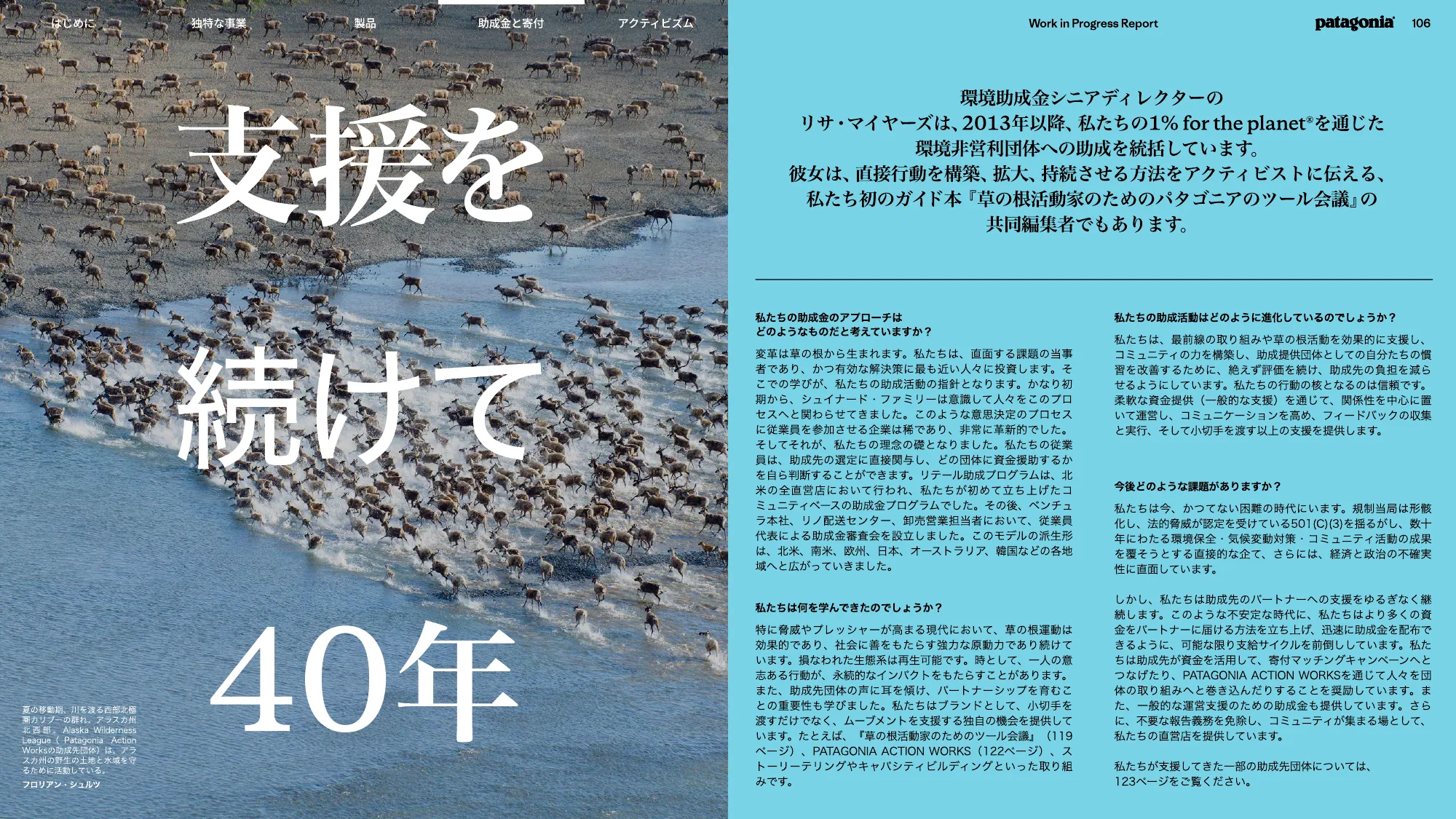 patagonia progress report 2025