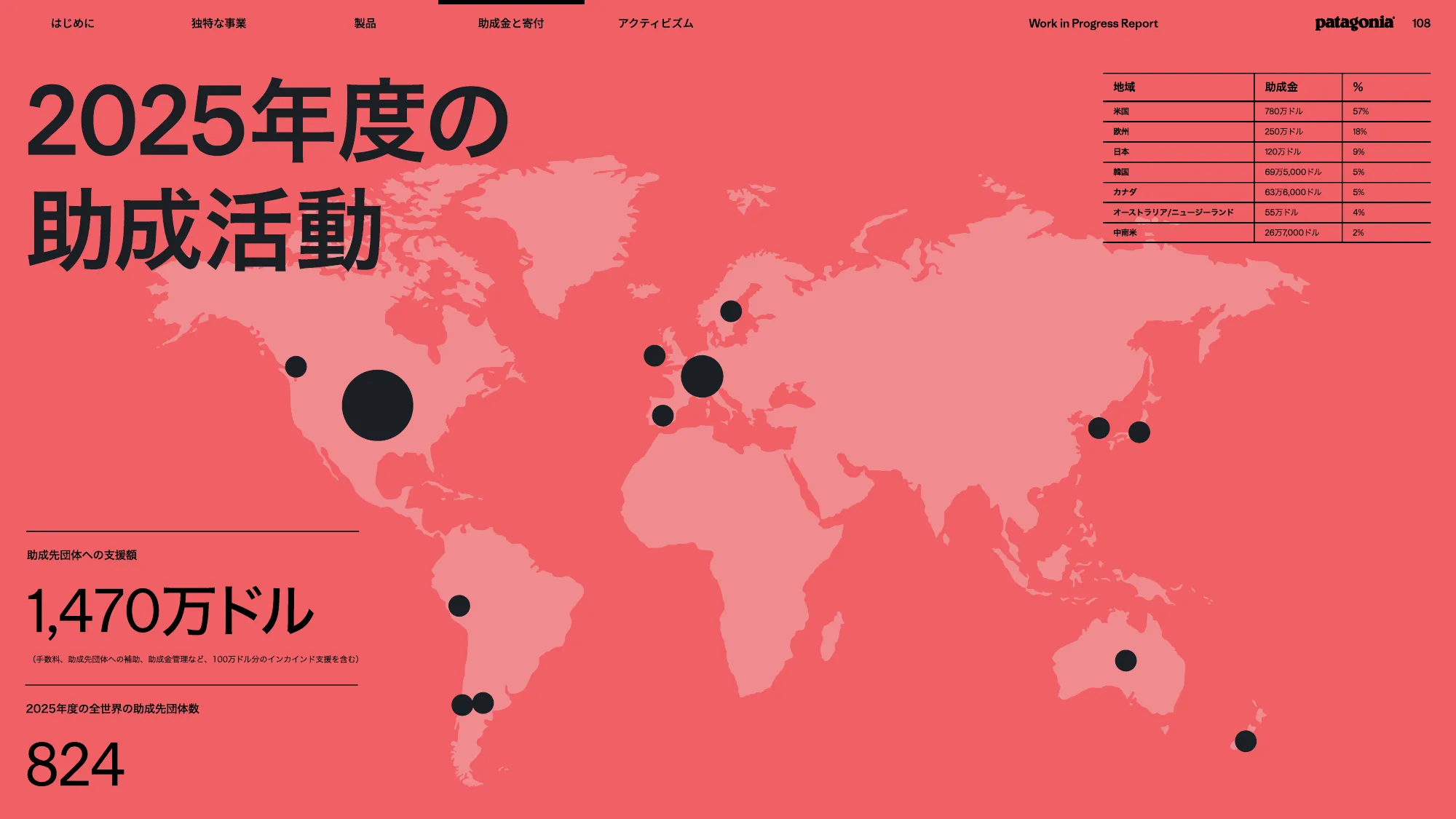 patagonia progress report 2025