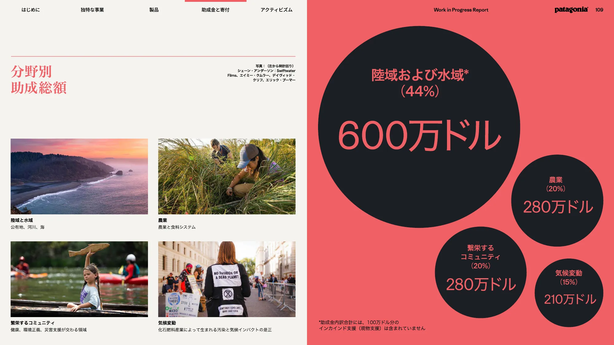 patagonia progress report 2025