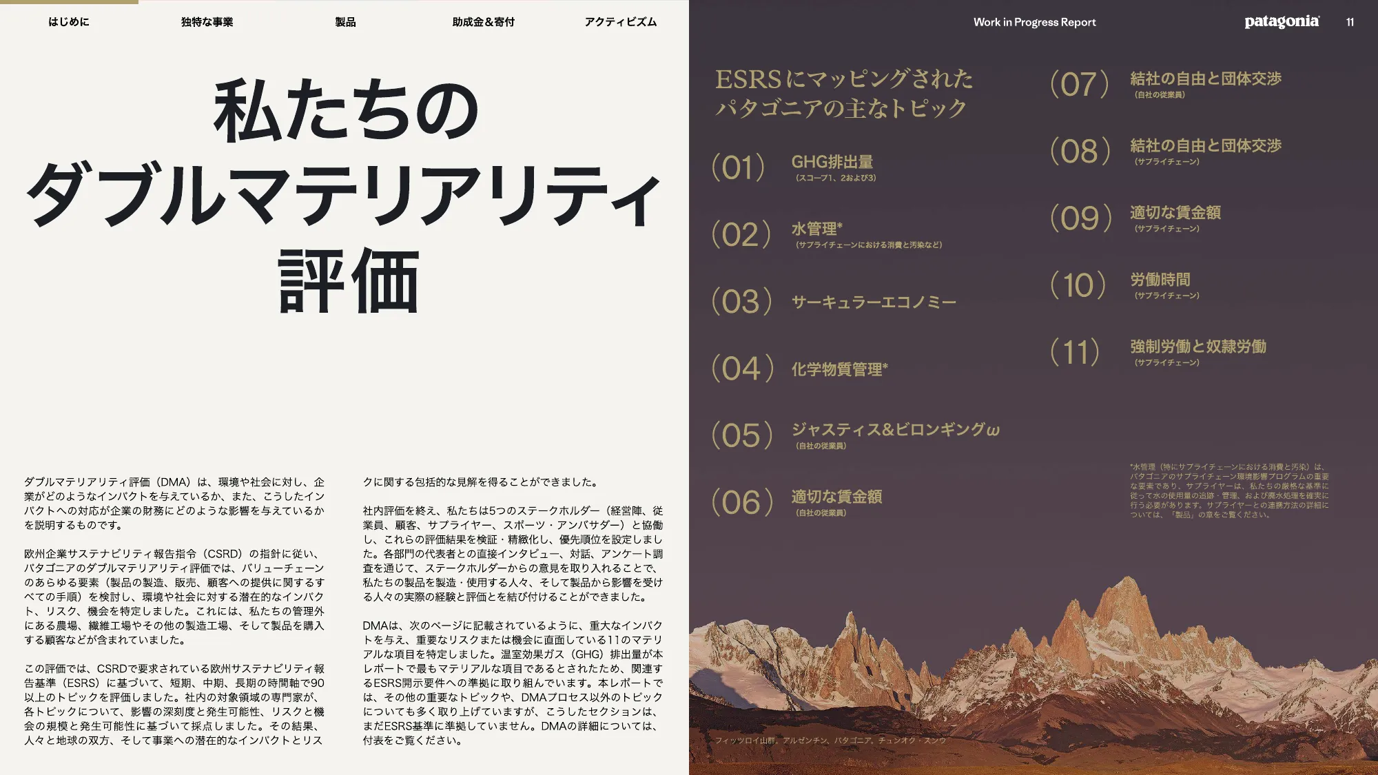 patagonia progress report 2025