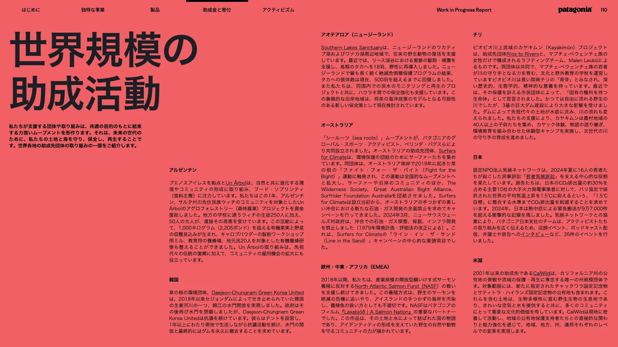 patagonia progress report 2025