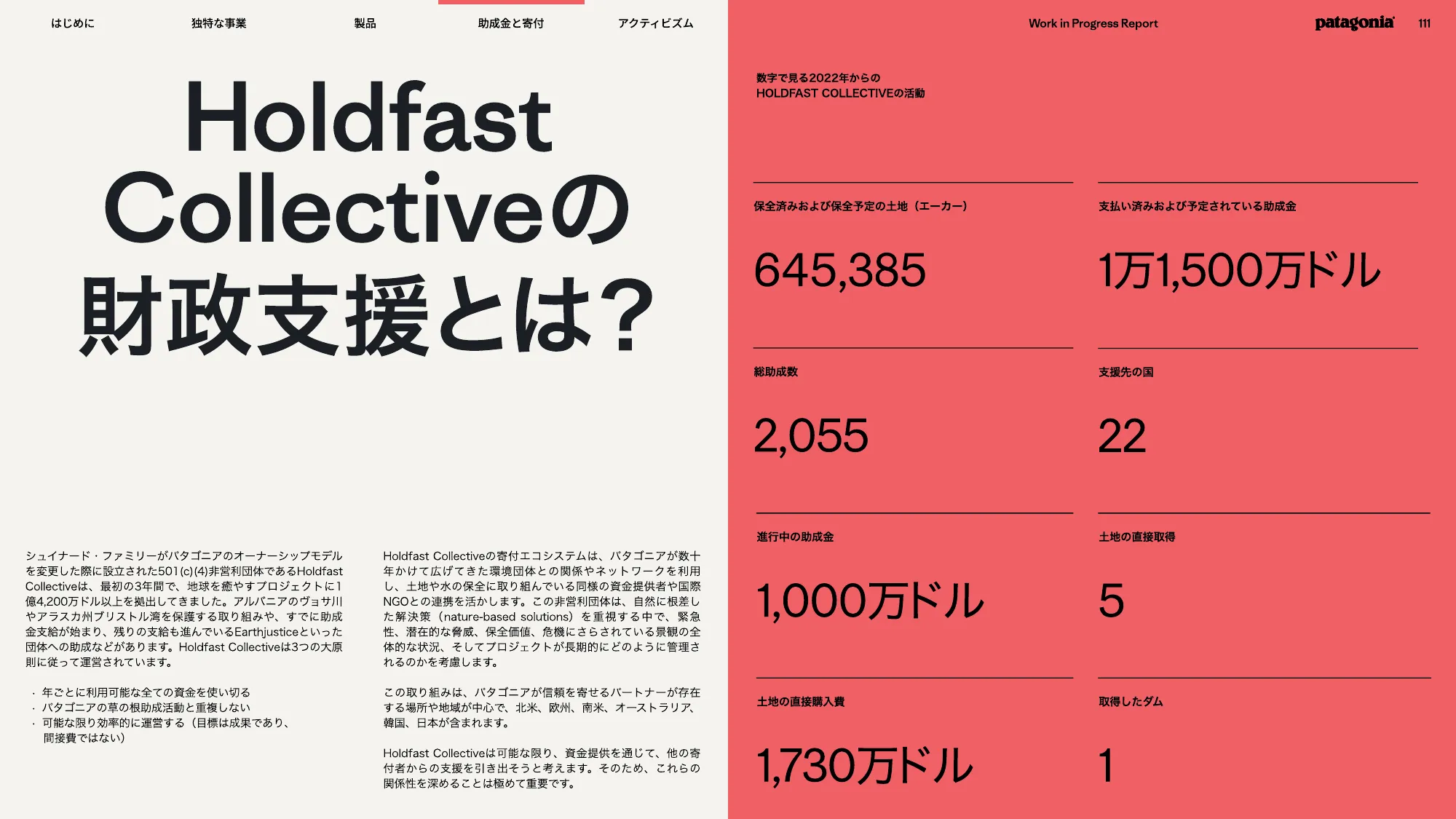 patagonia progress report 2025