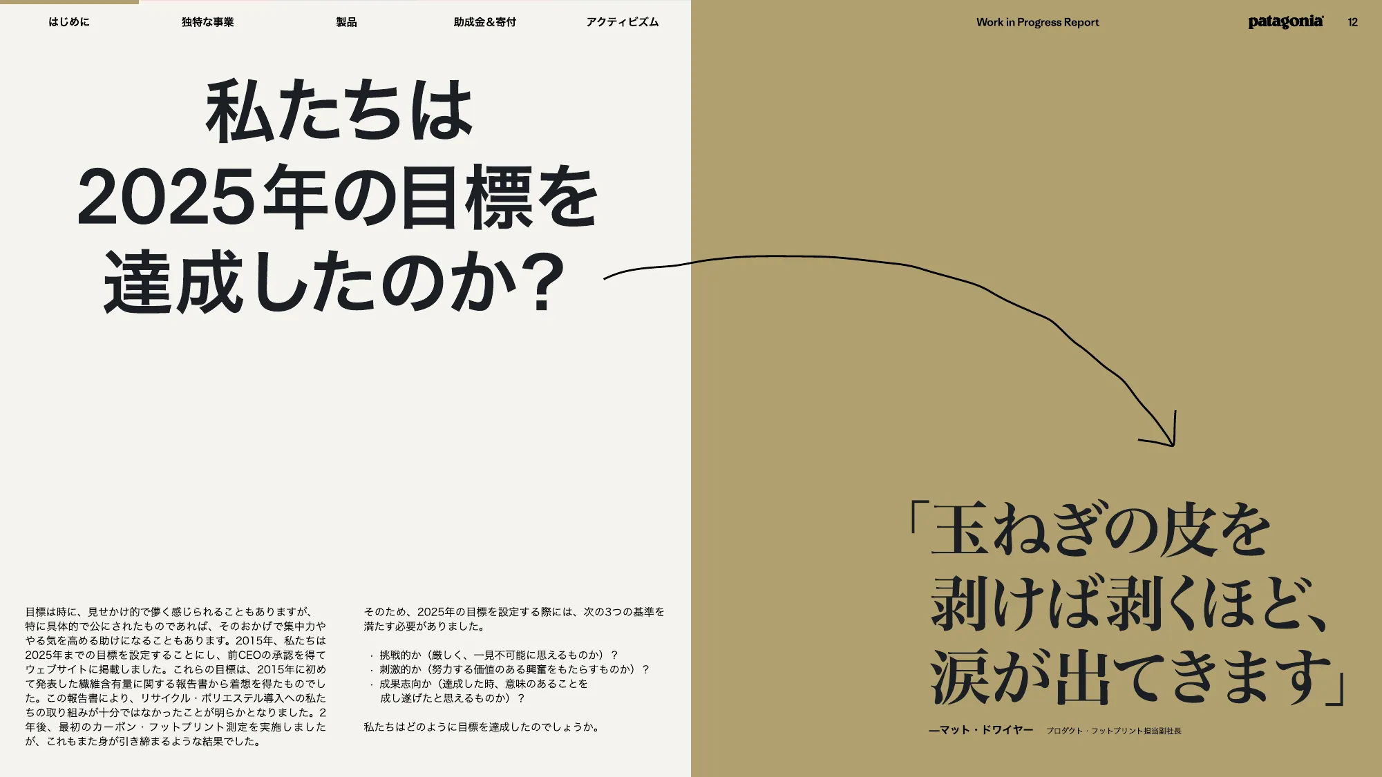 patagonia progress report 2025