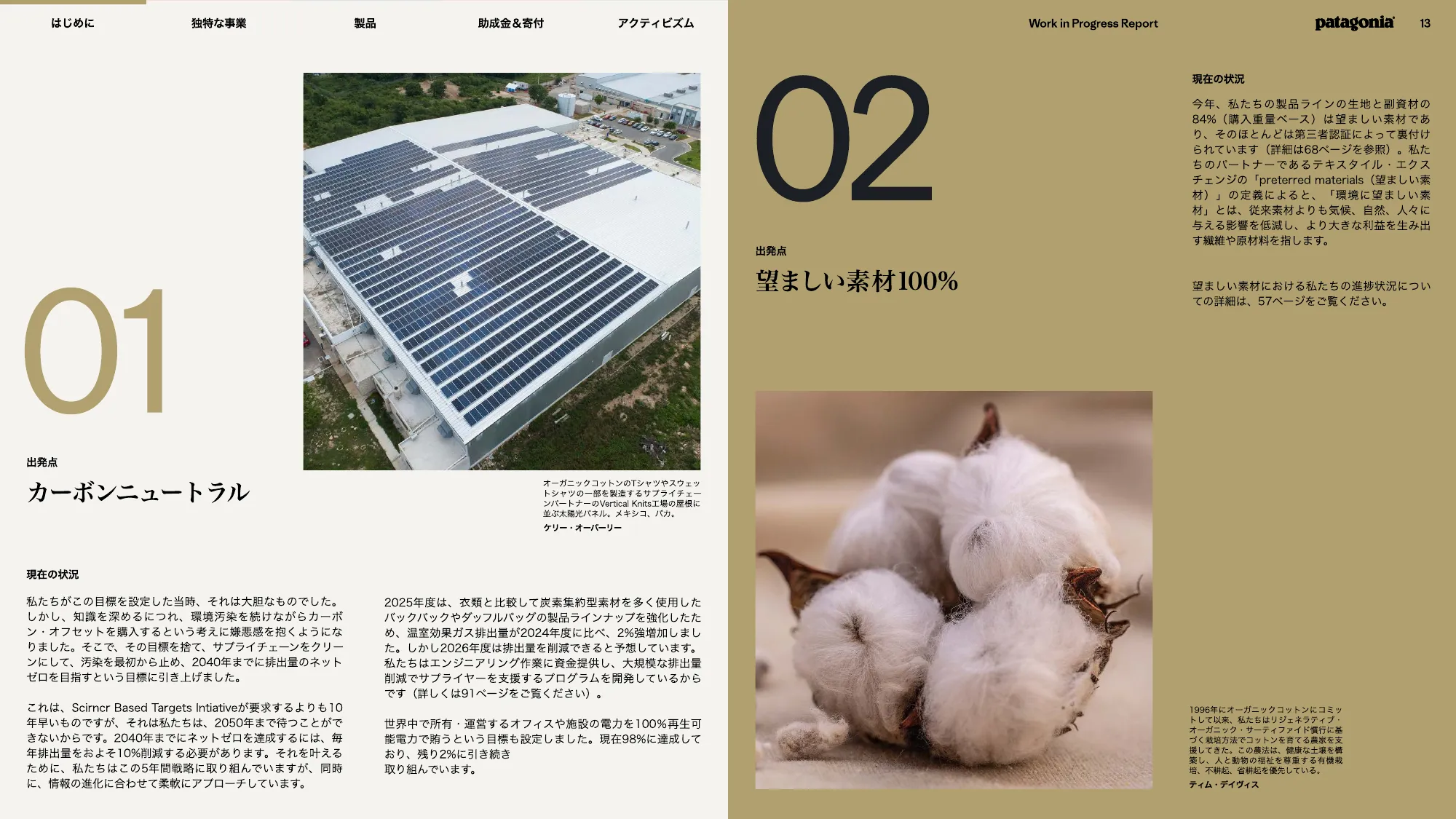 patagonia progress report 2025