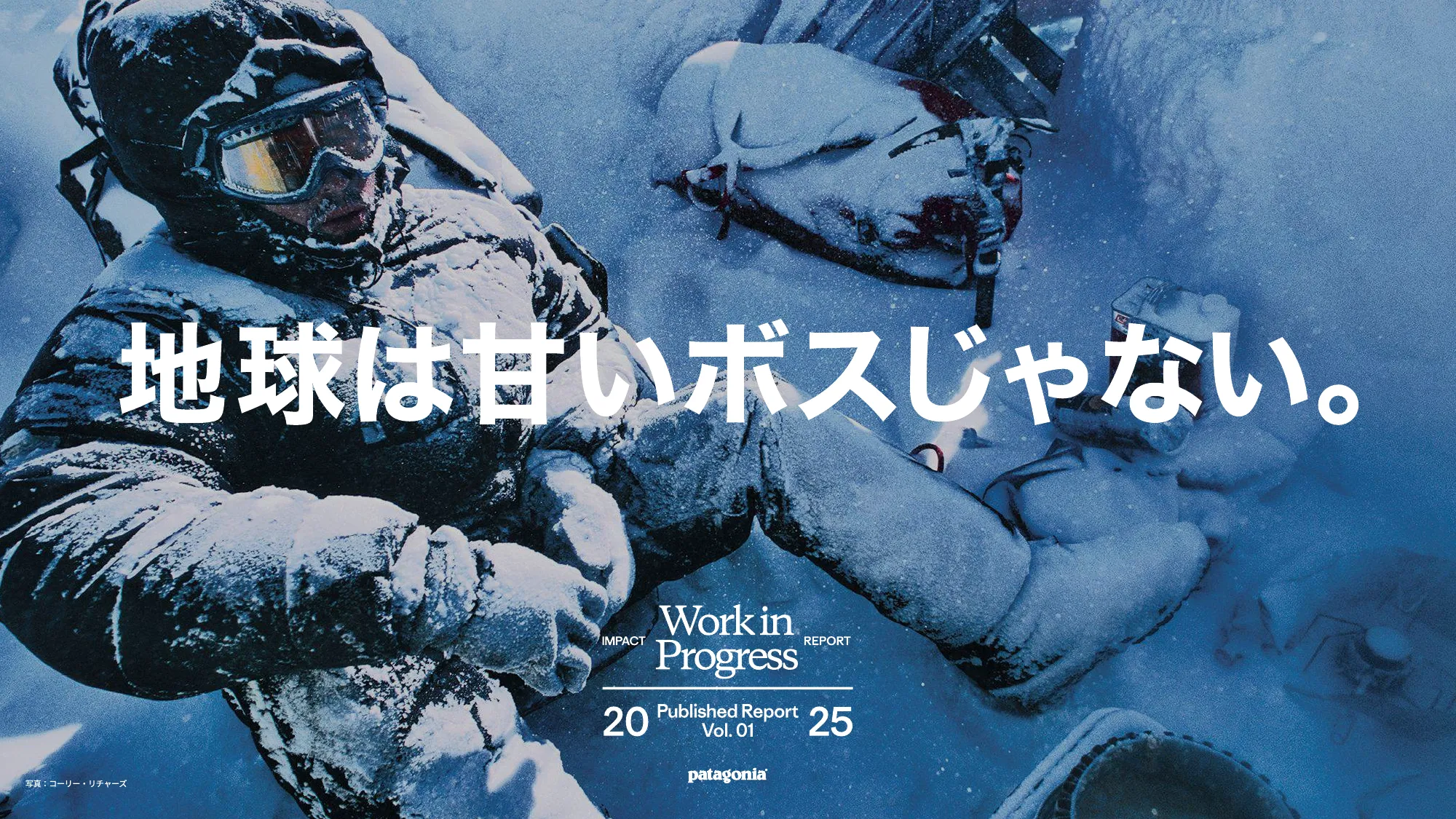 patagonia progress report 2025