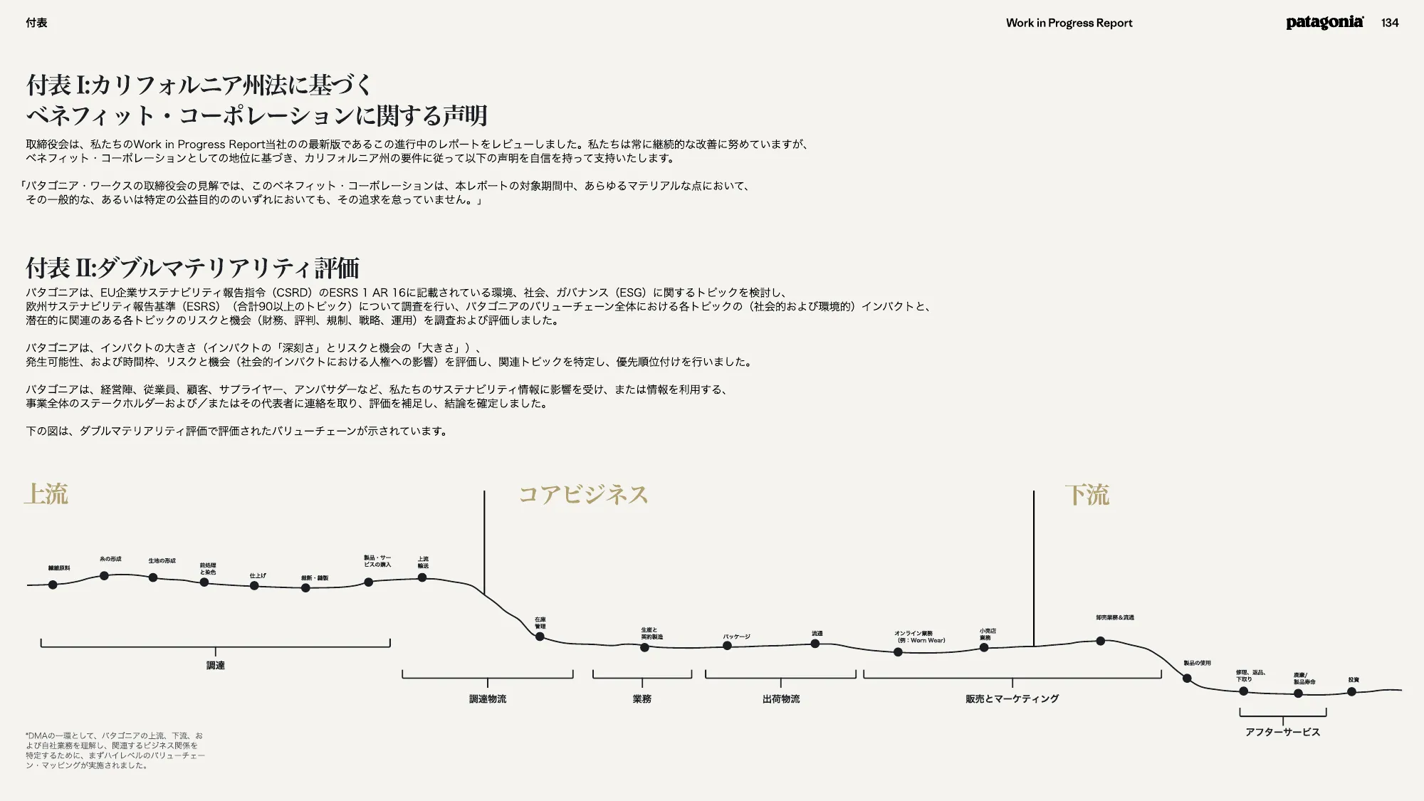 patagonia progress report 2025