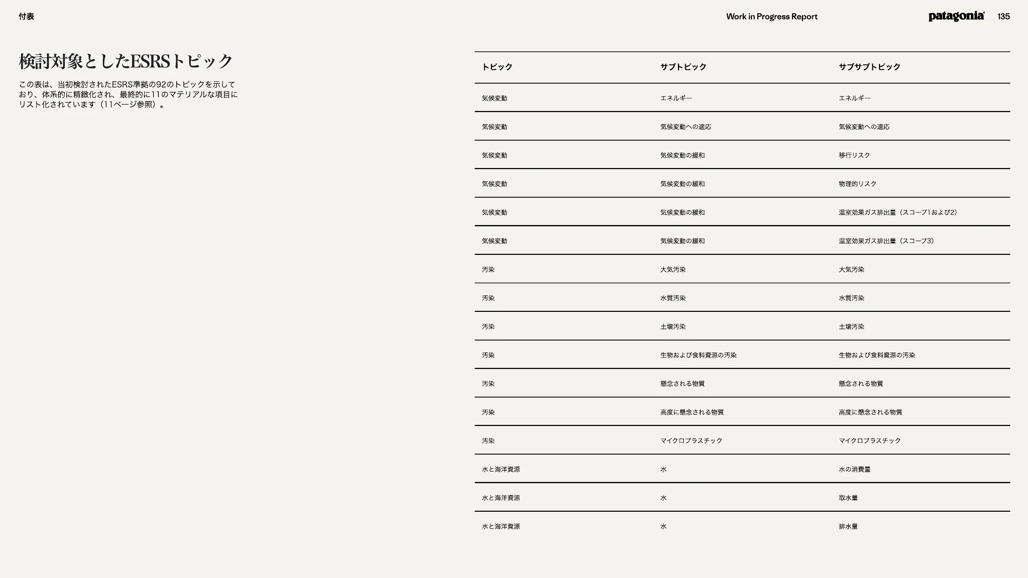 patagonia progress report 2025