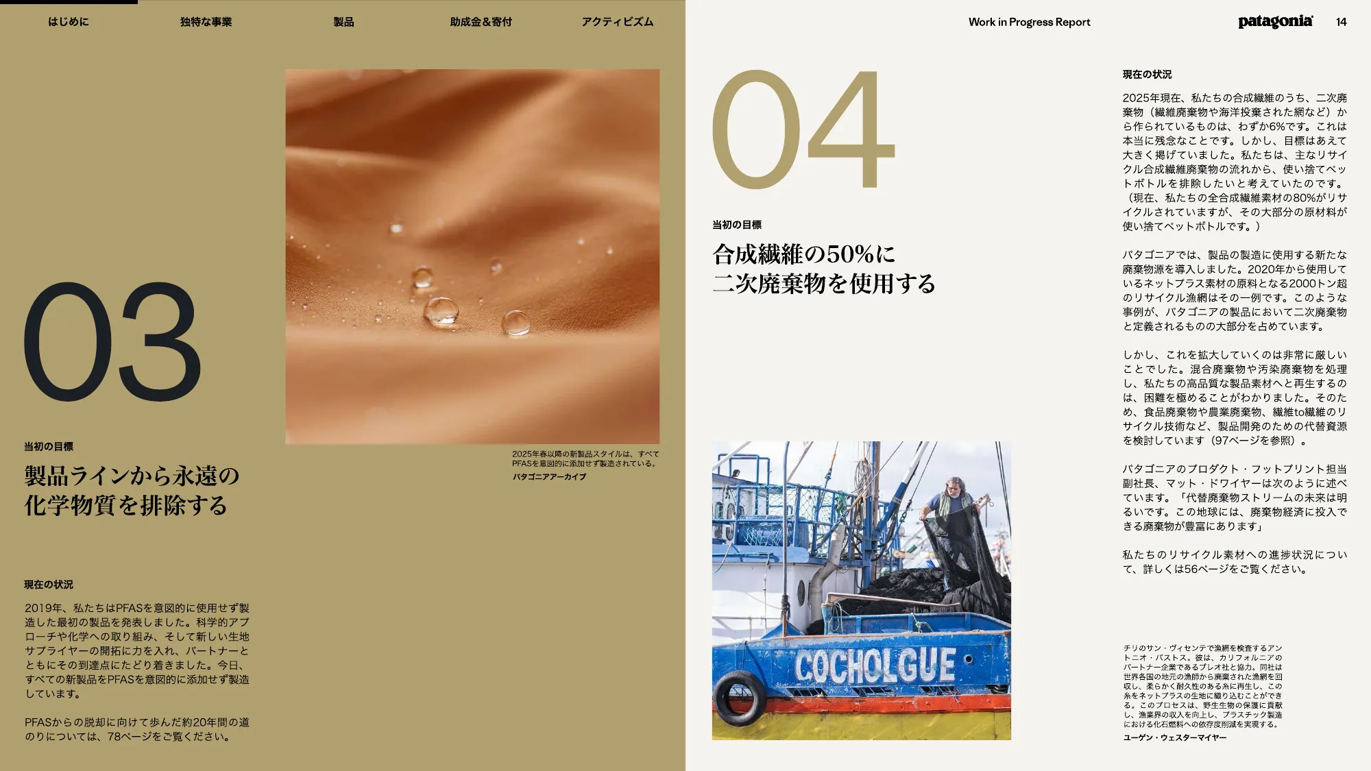 patagonia progress report 2025