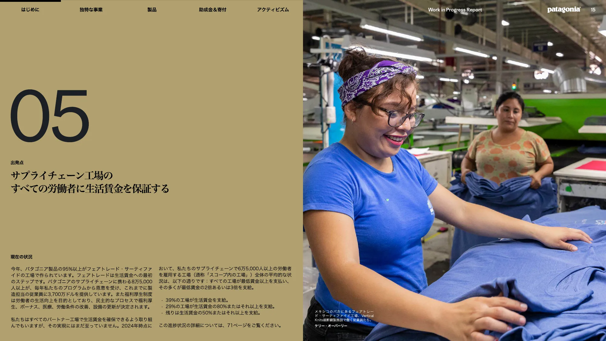 patagonia progress report 2025