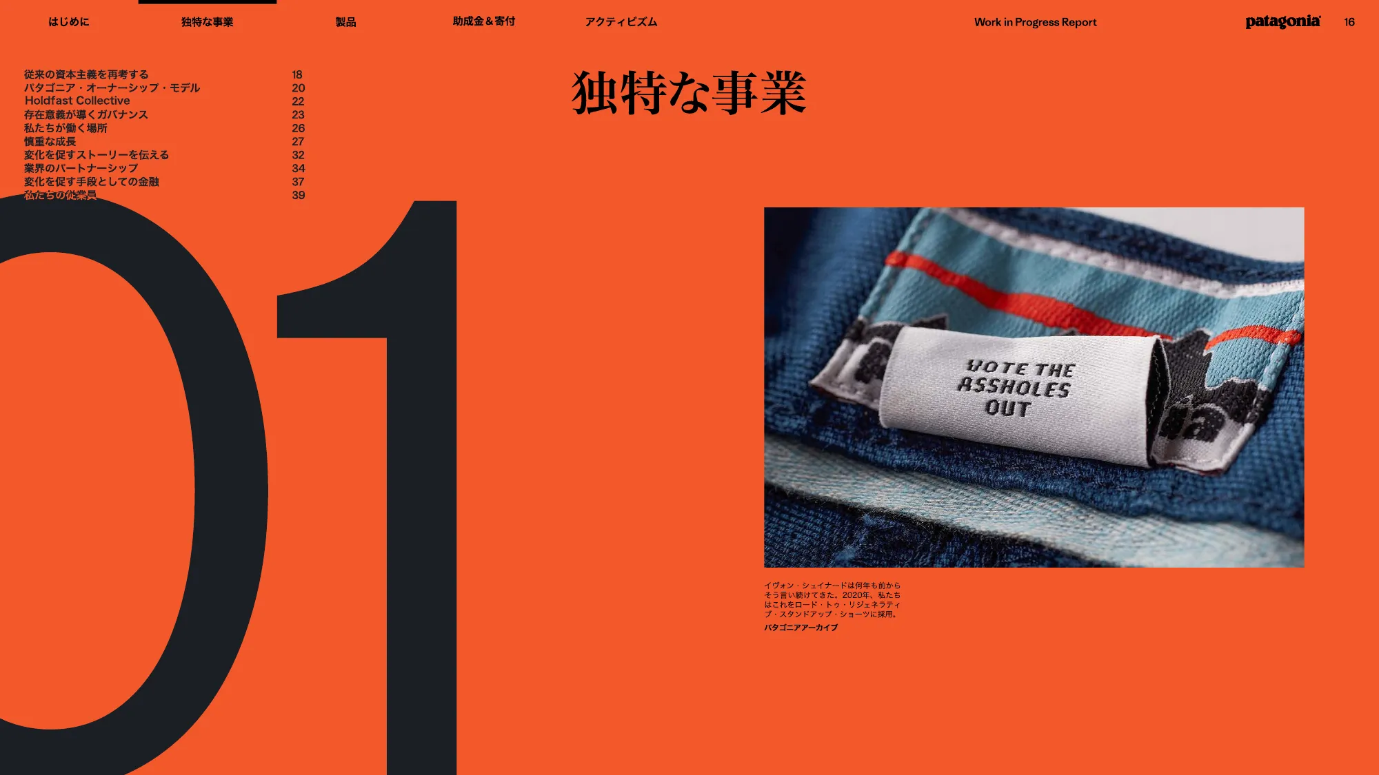 patagonia progress report 2025