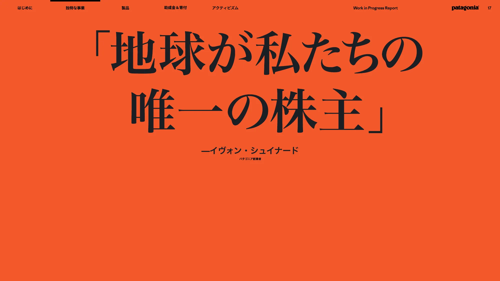 patagonia progress report 2025