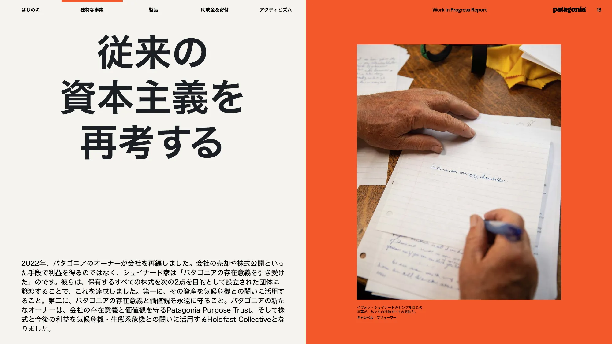 patagonia progress report 2025