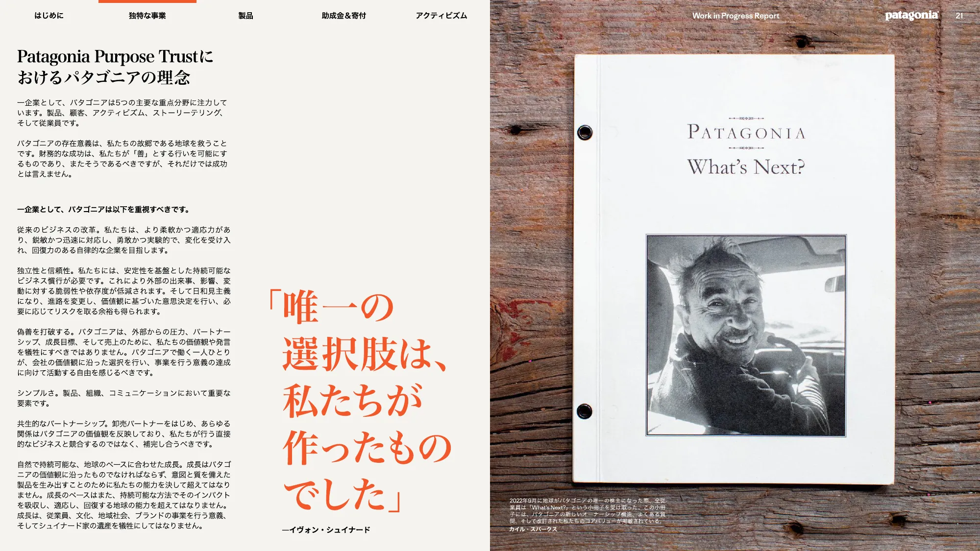 patagonia progress report 2025