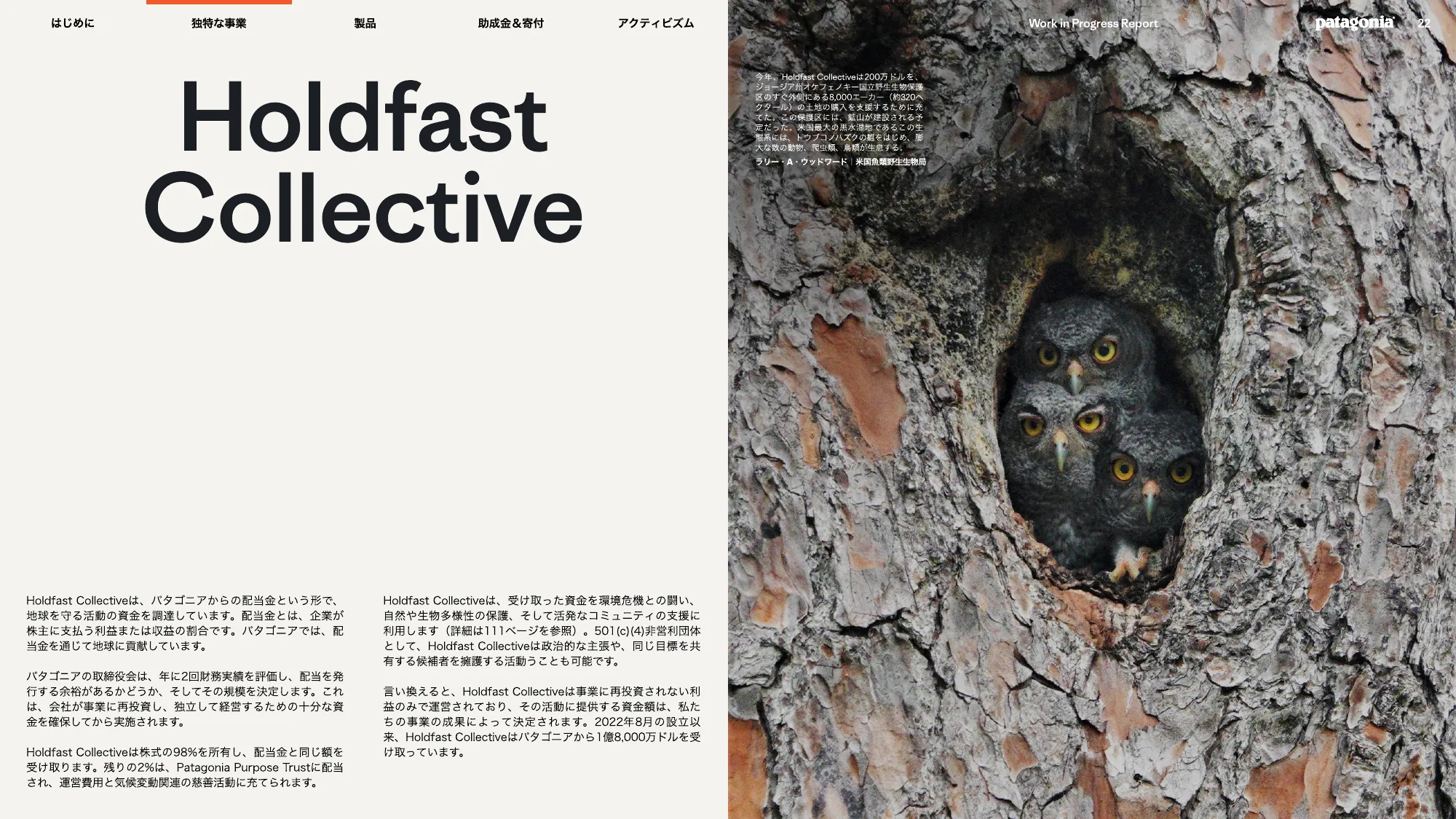 patagonia progress report 2025