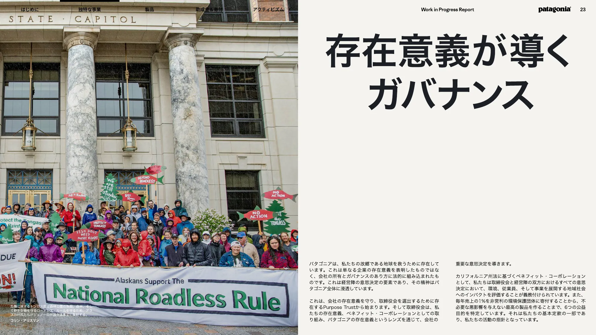 patagonia progress report 2025