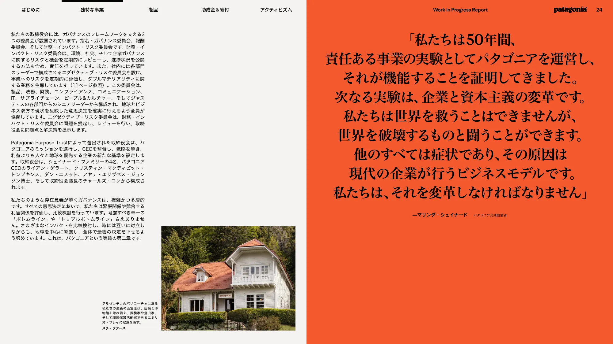 patagonia progress report 2025