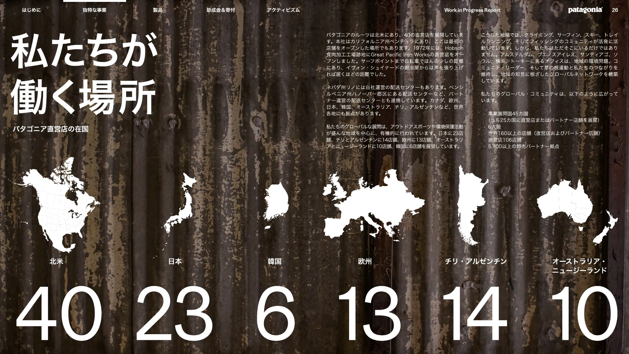 patagonia progress report 2025