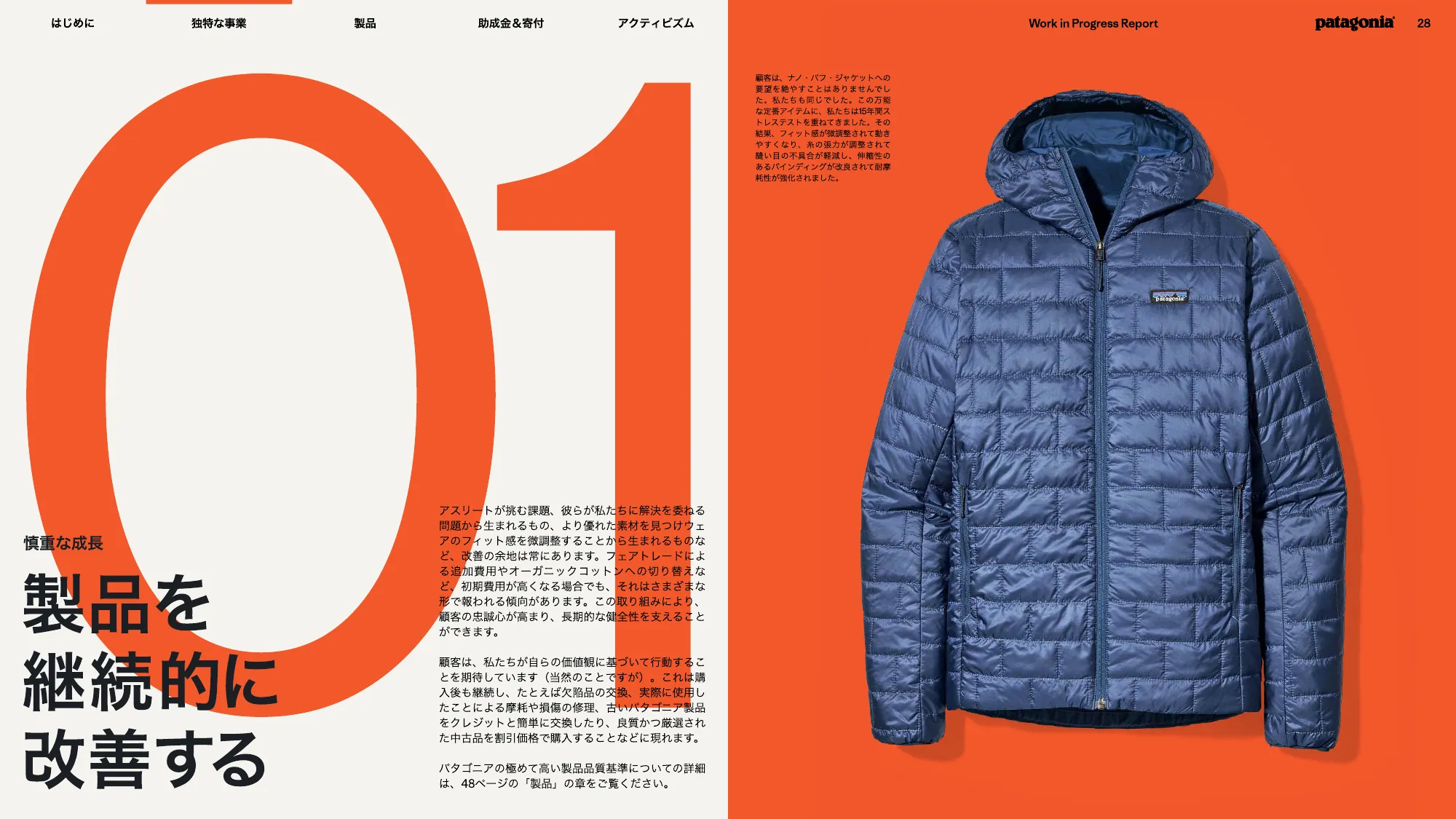 patagonia progress report 2025