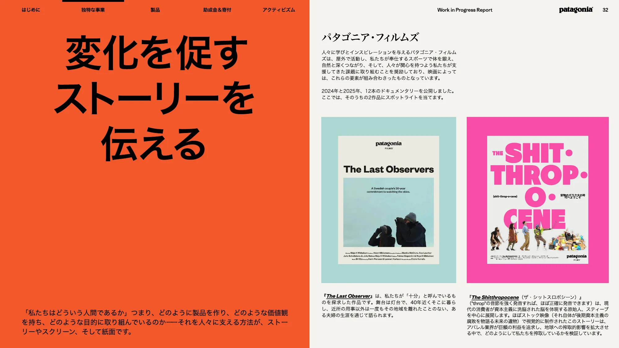 patagonia progress report 2025