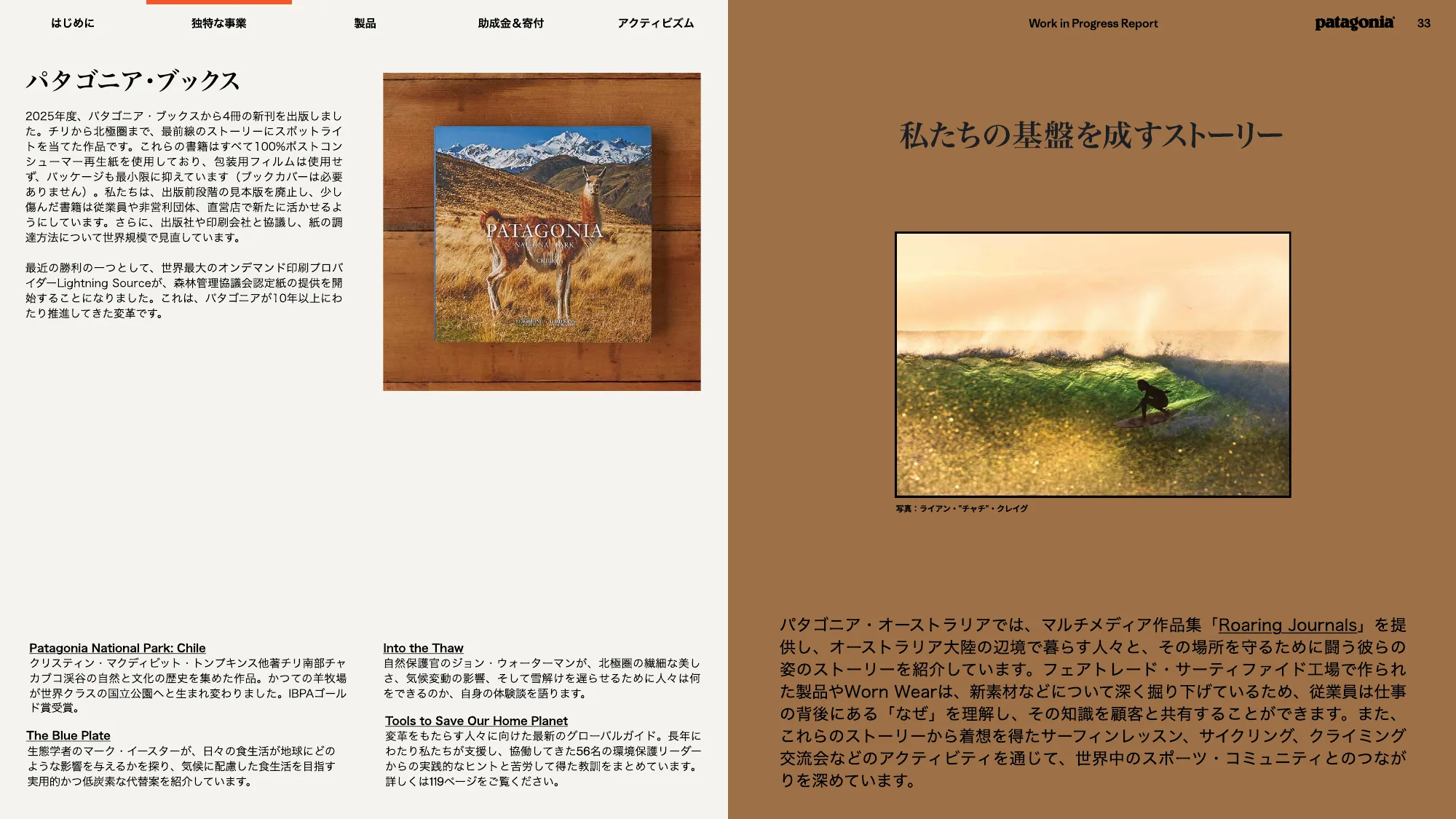 patagonia progress report 2025