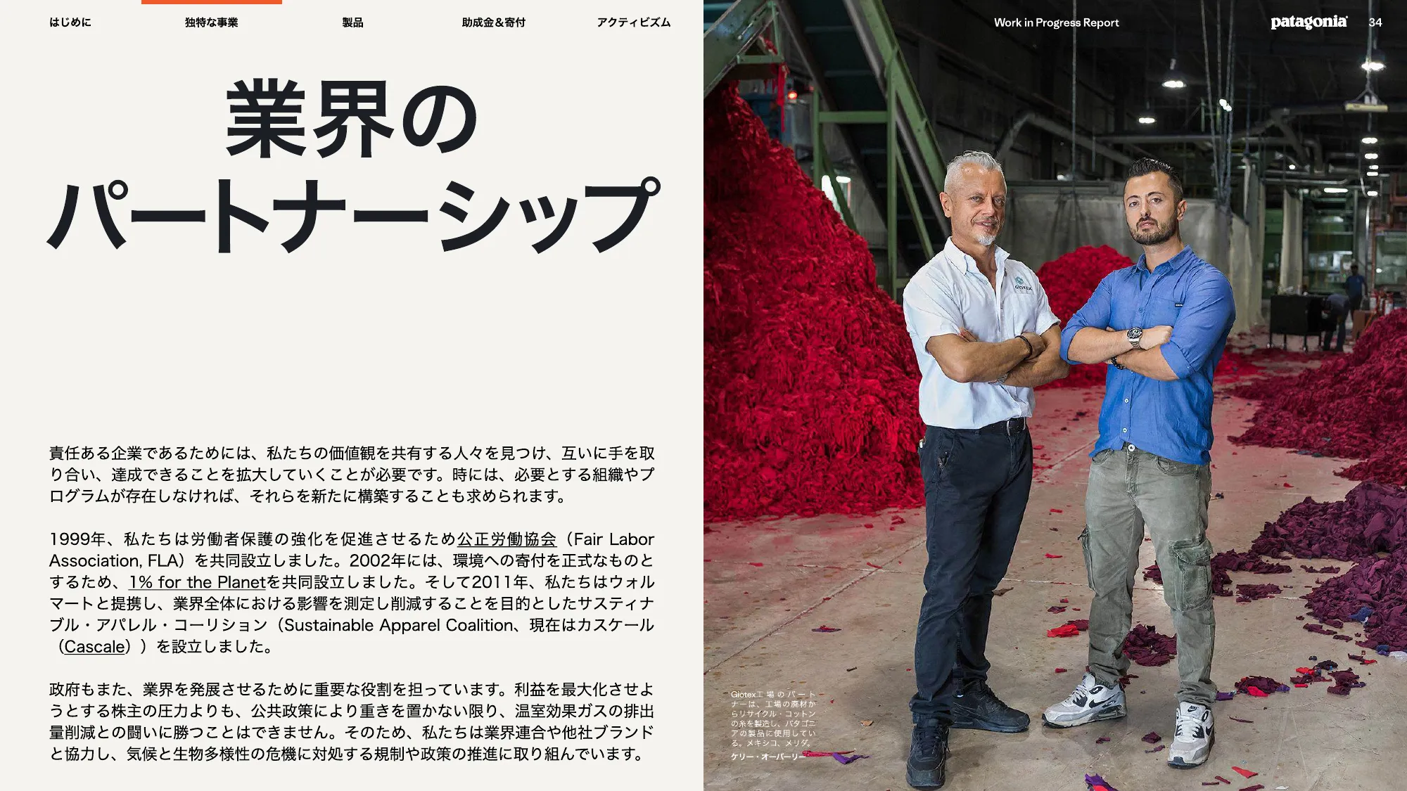 patagonia progress report 2025