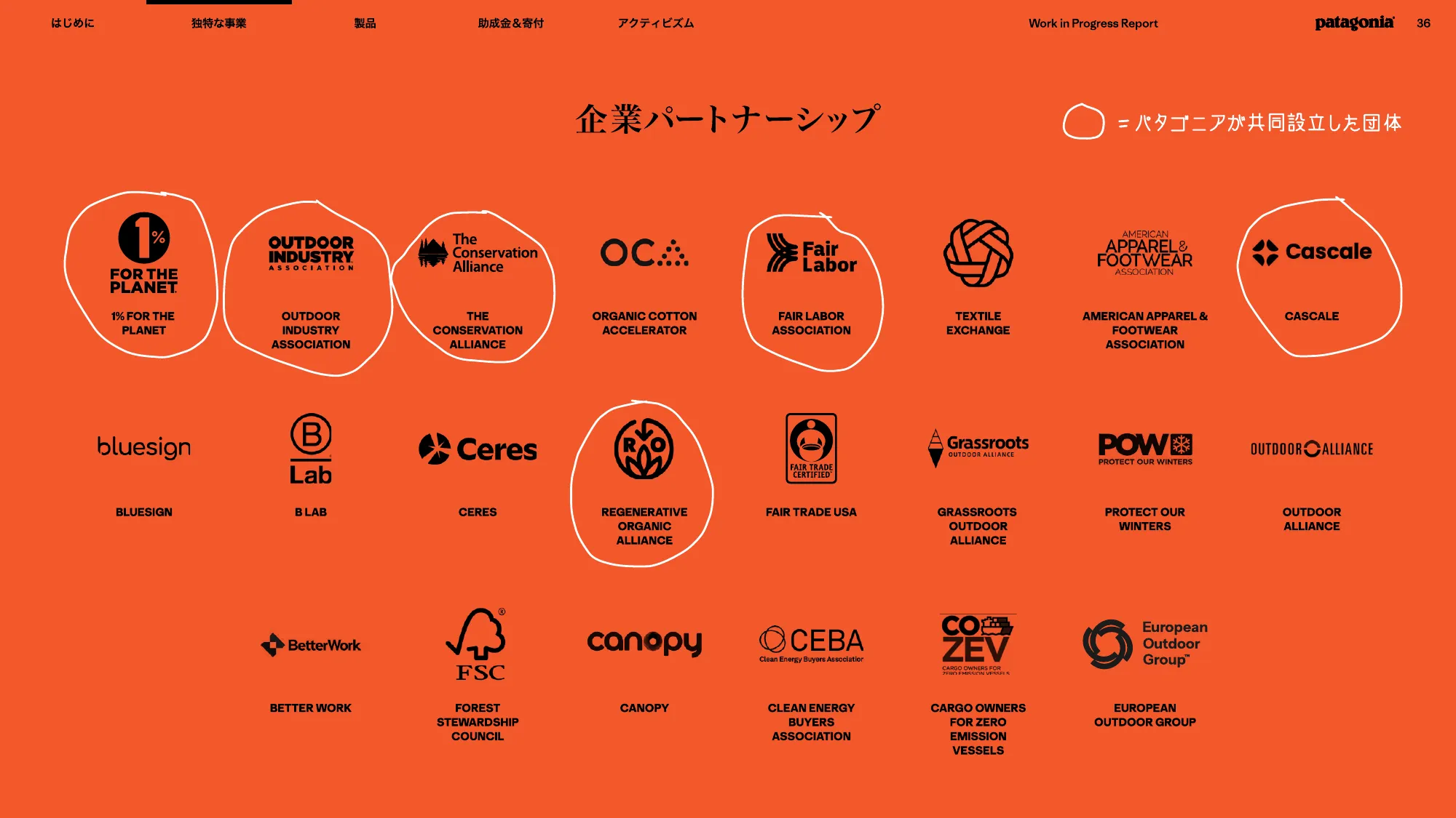 patagonia progress report 2025